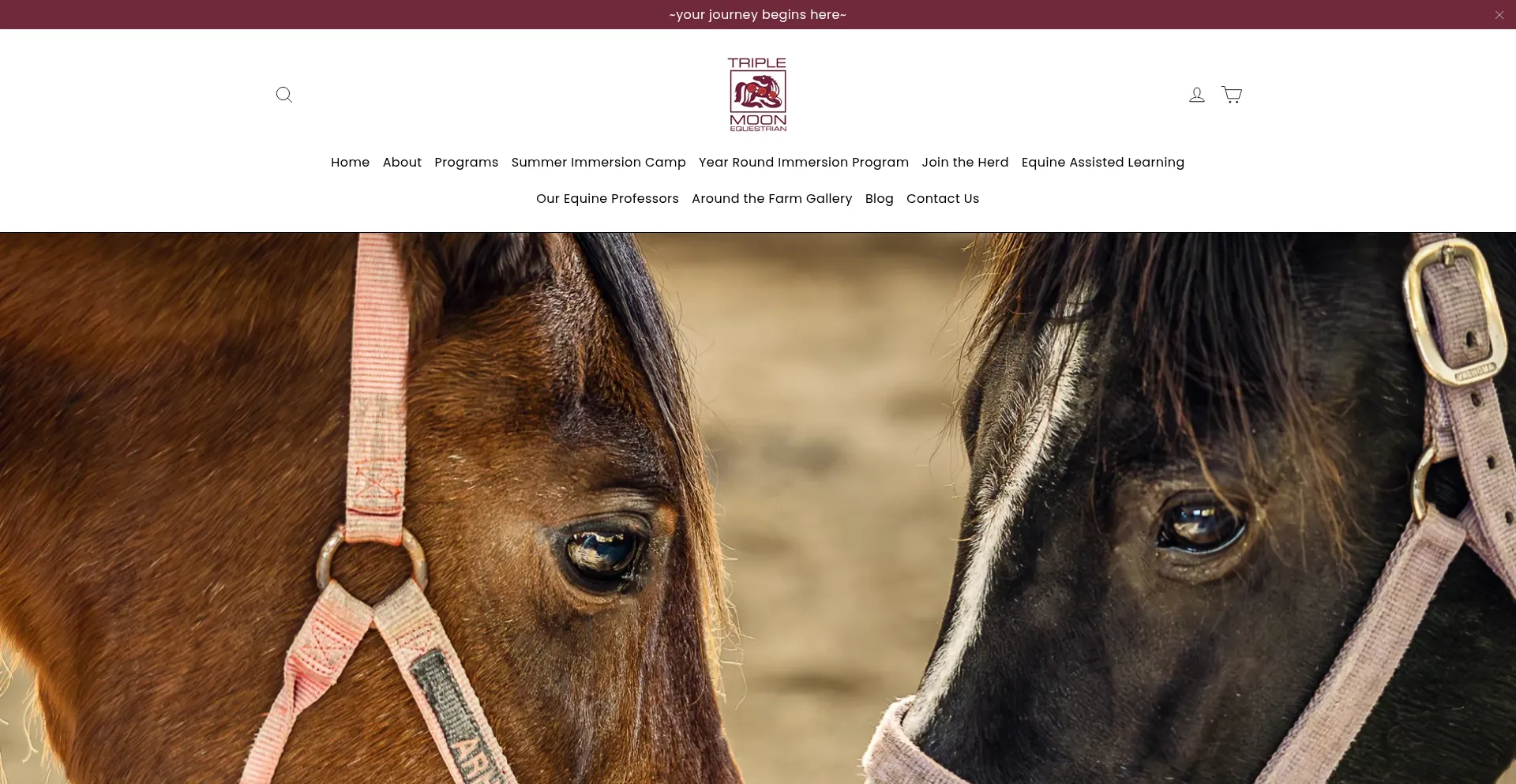 Triplemoonequestrian.org