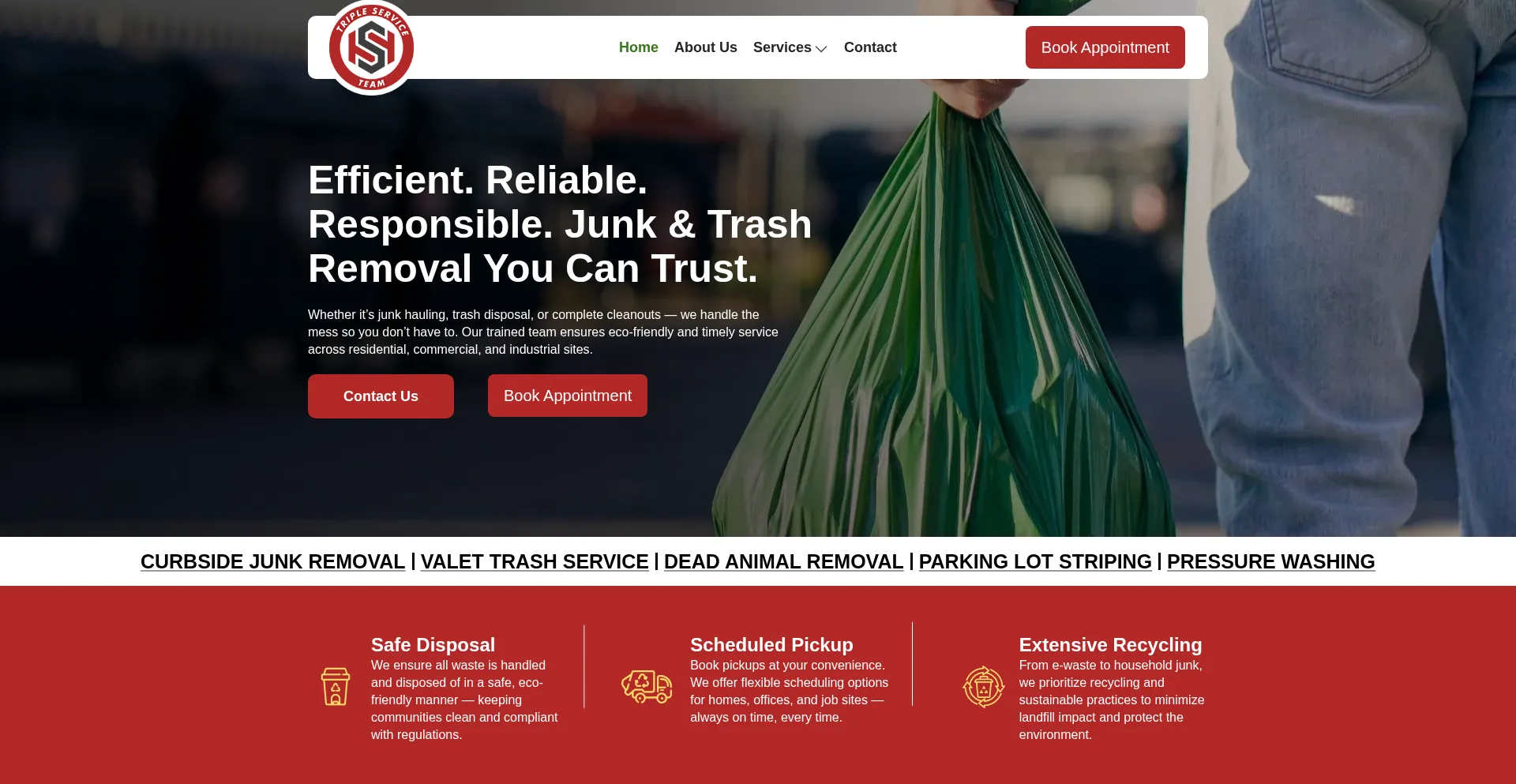 Website screenshot of Tripleserviceteam.com