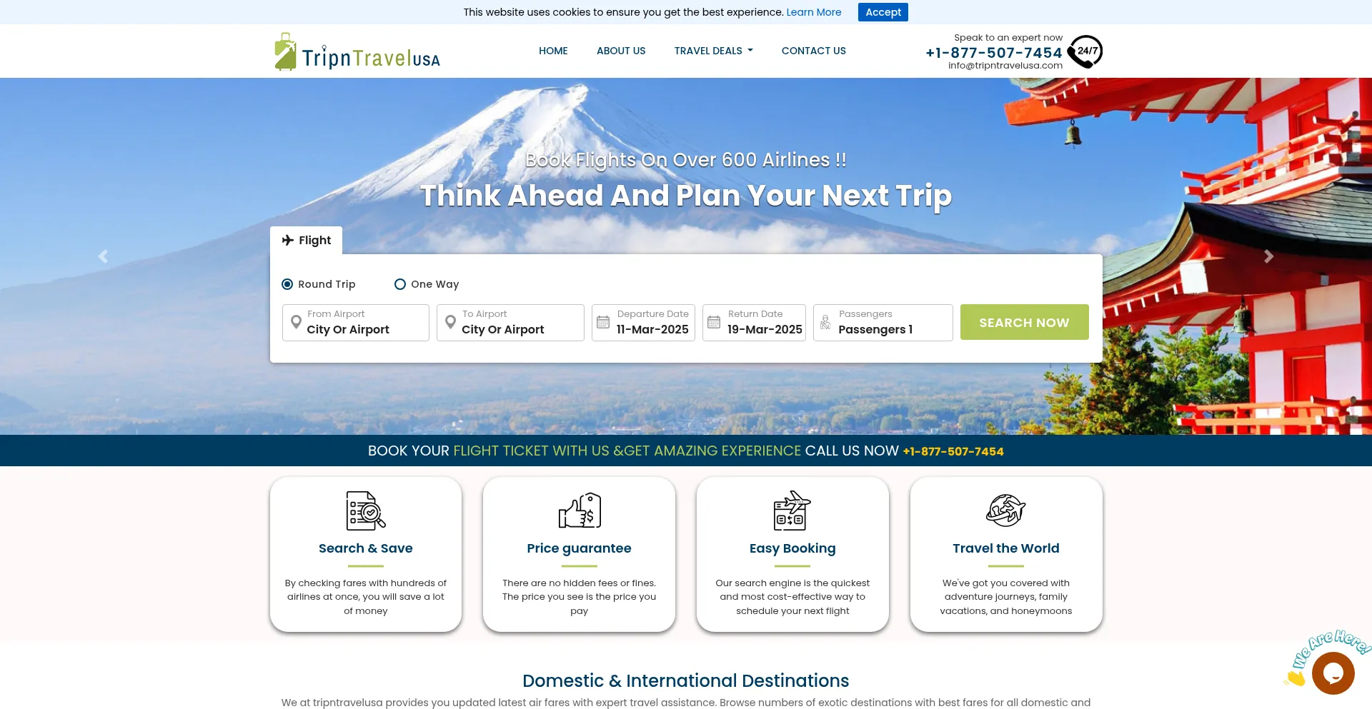 Website screenshot of Tripntravelusa.com