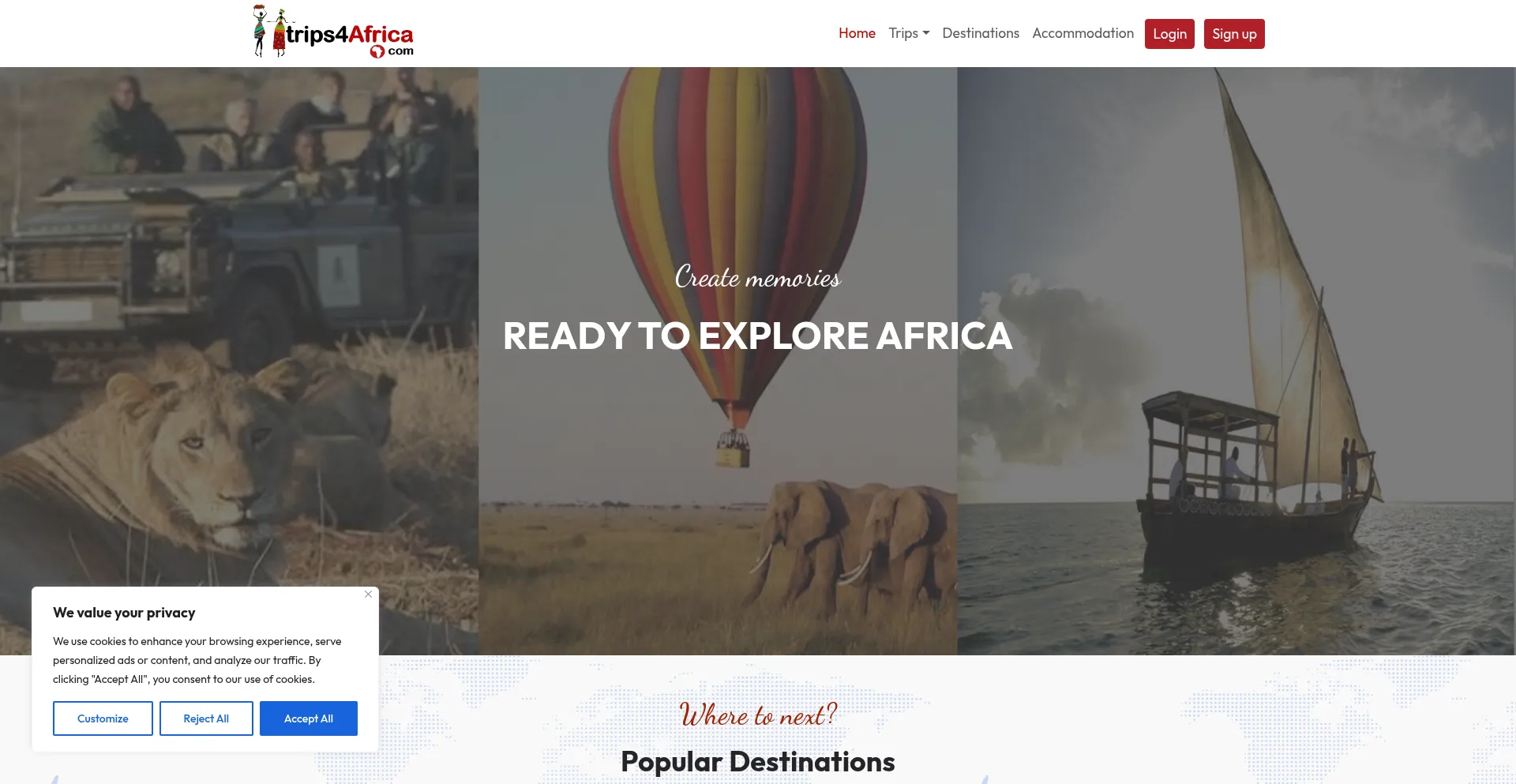 Website screenshot of Trips4africa.com