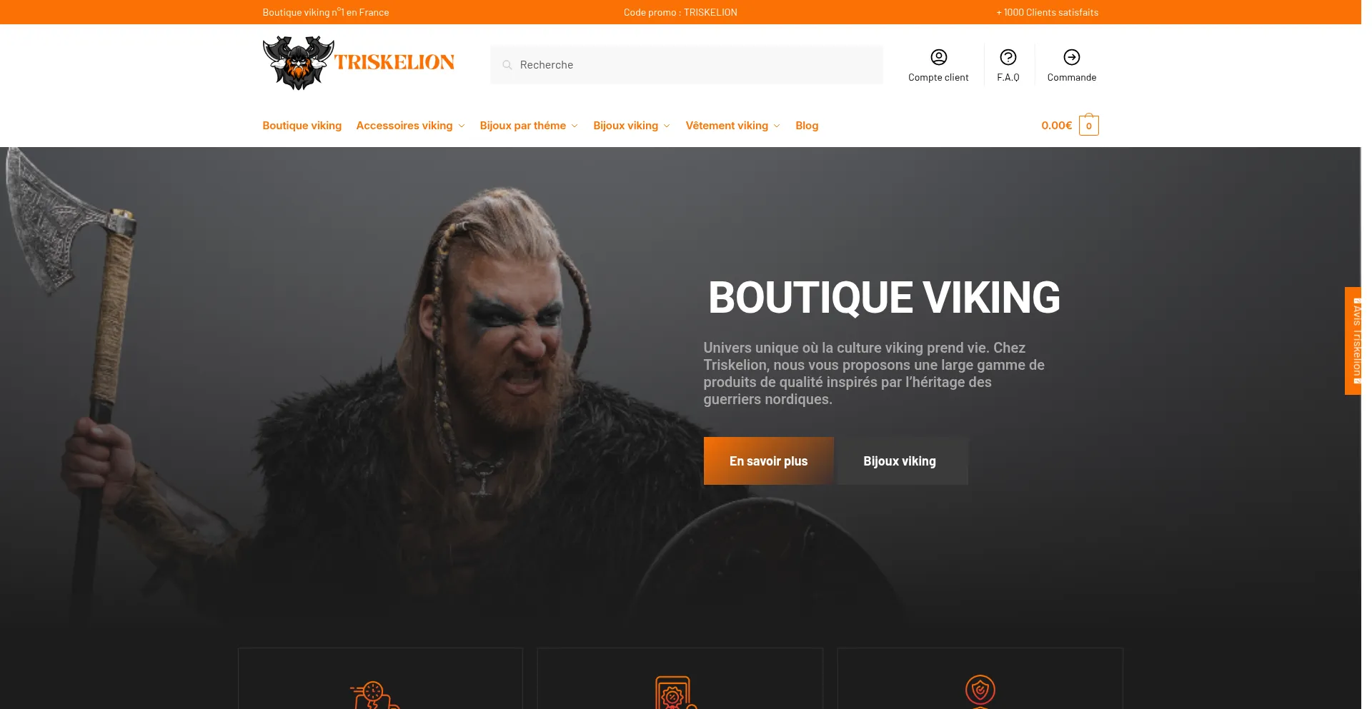 Website screenshot of Triskelion.fr