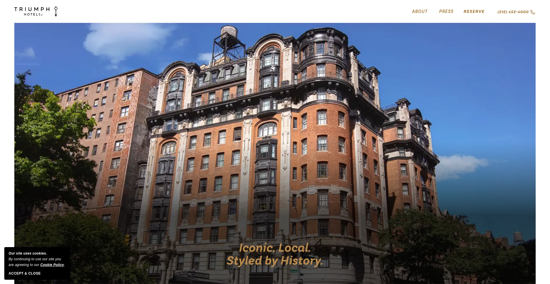 Website screenshot of Triumphhotels.com