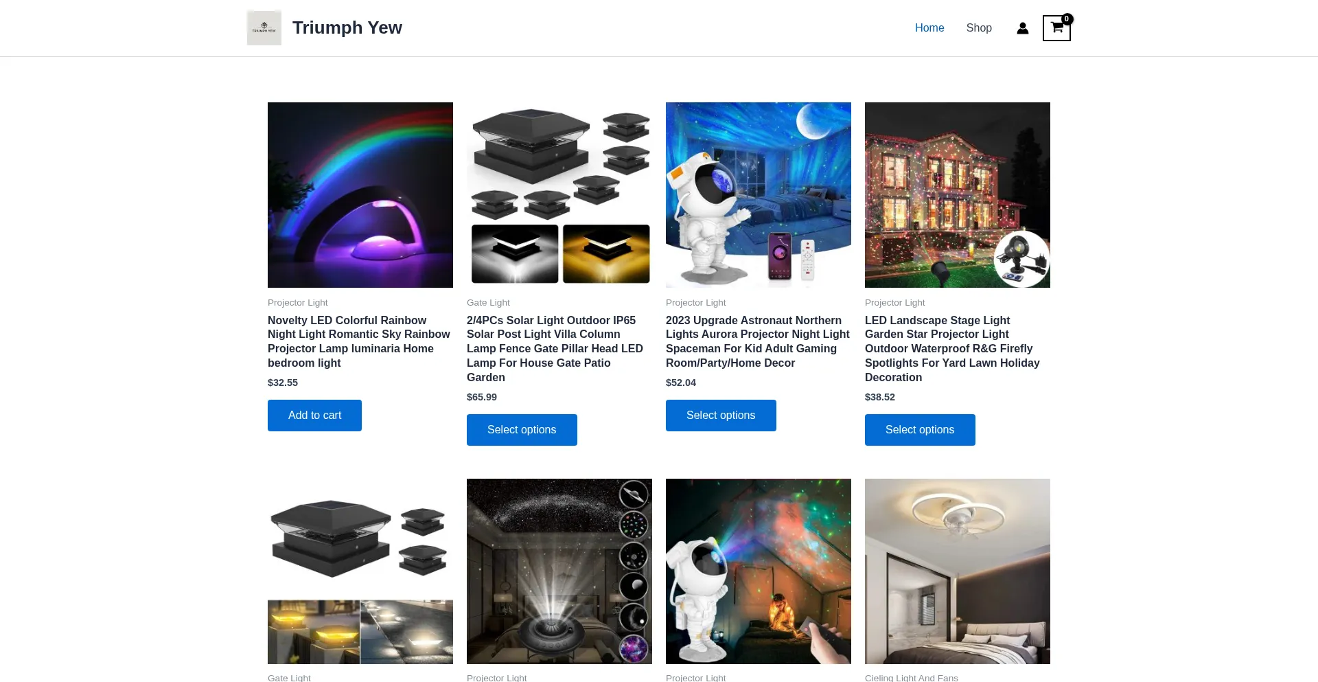 Website screenshot of Triyewhub.shop