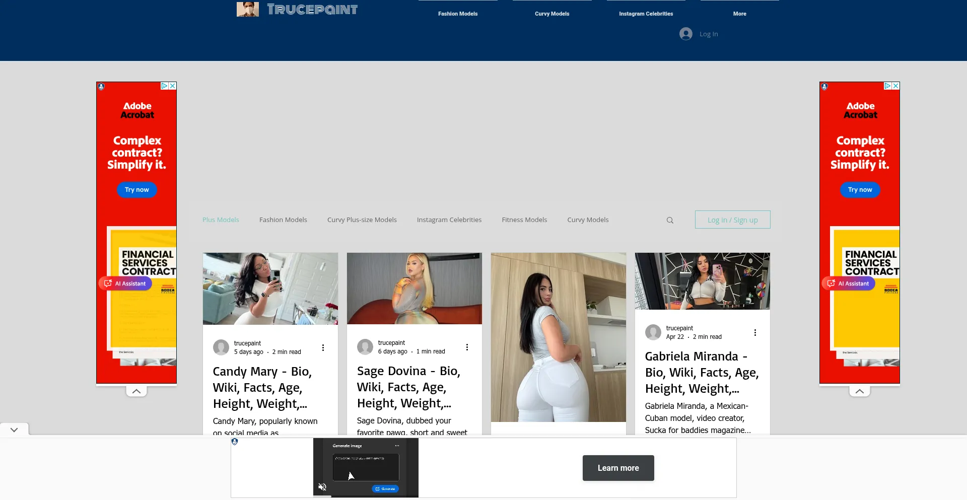 Website screenshot of Trucepaint.net