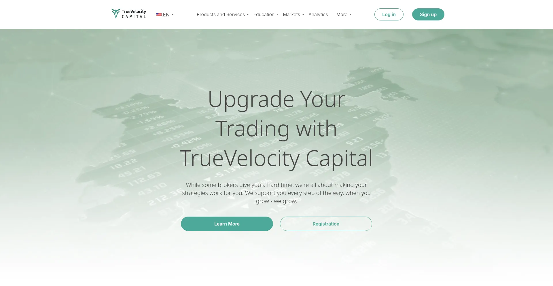 Website screenshot of Truevgroup.com
