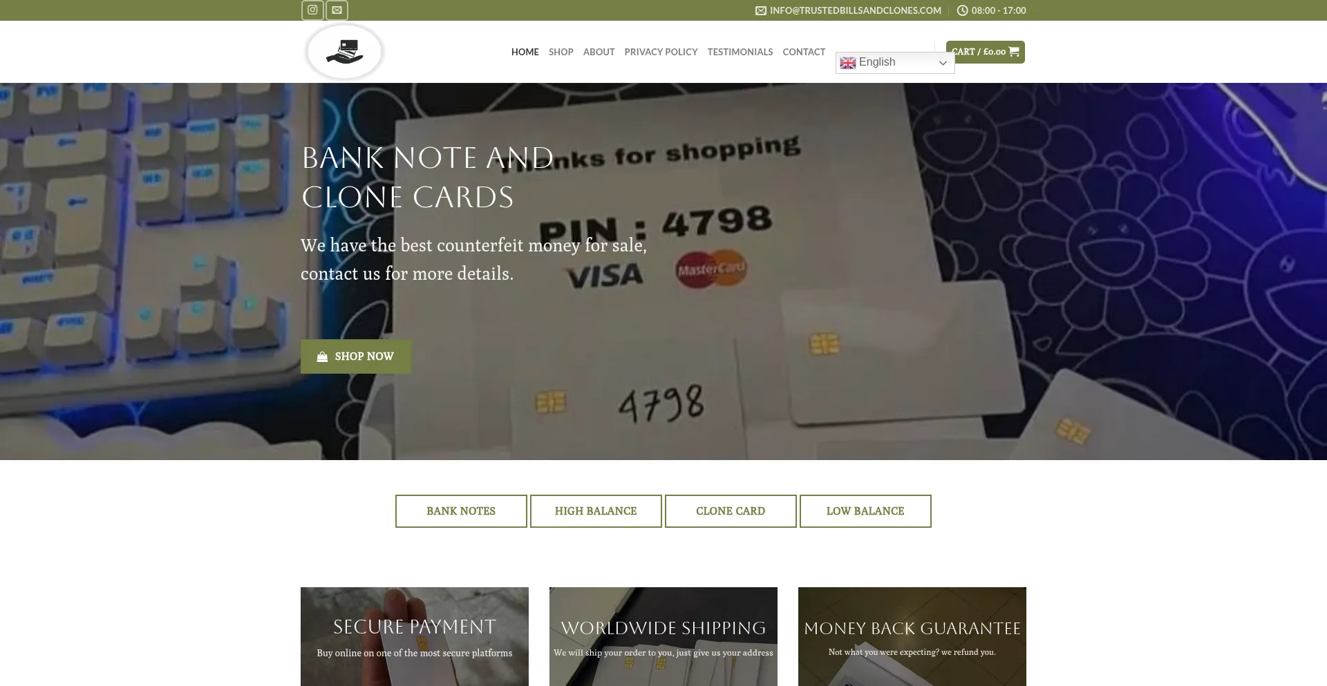 Website screenshot of Trustedbillsandclones.com