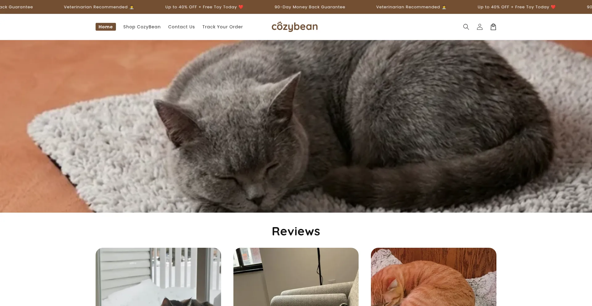 Trycozybean.com