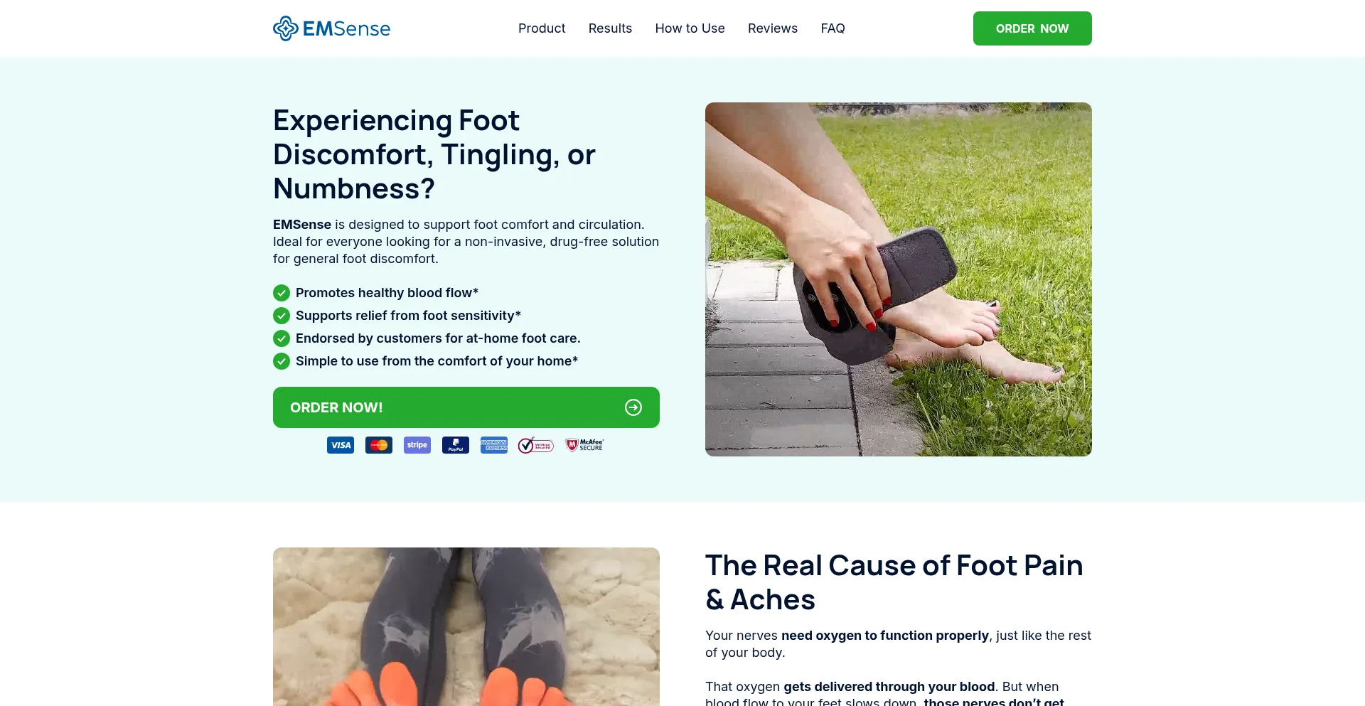 Website screenshot of Tryemsense.com