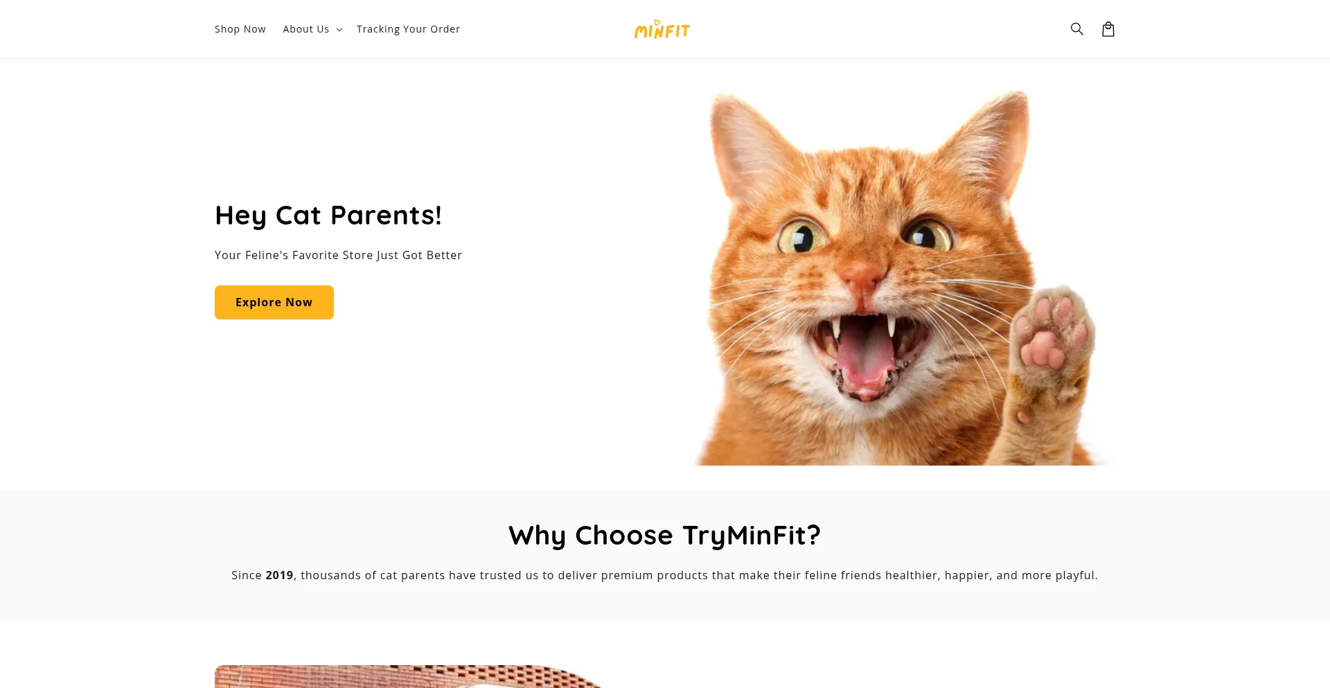 Website screenshot of Tryminfit.com