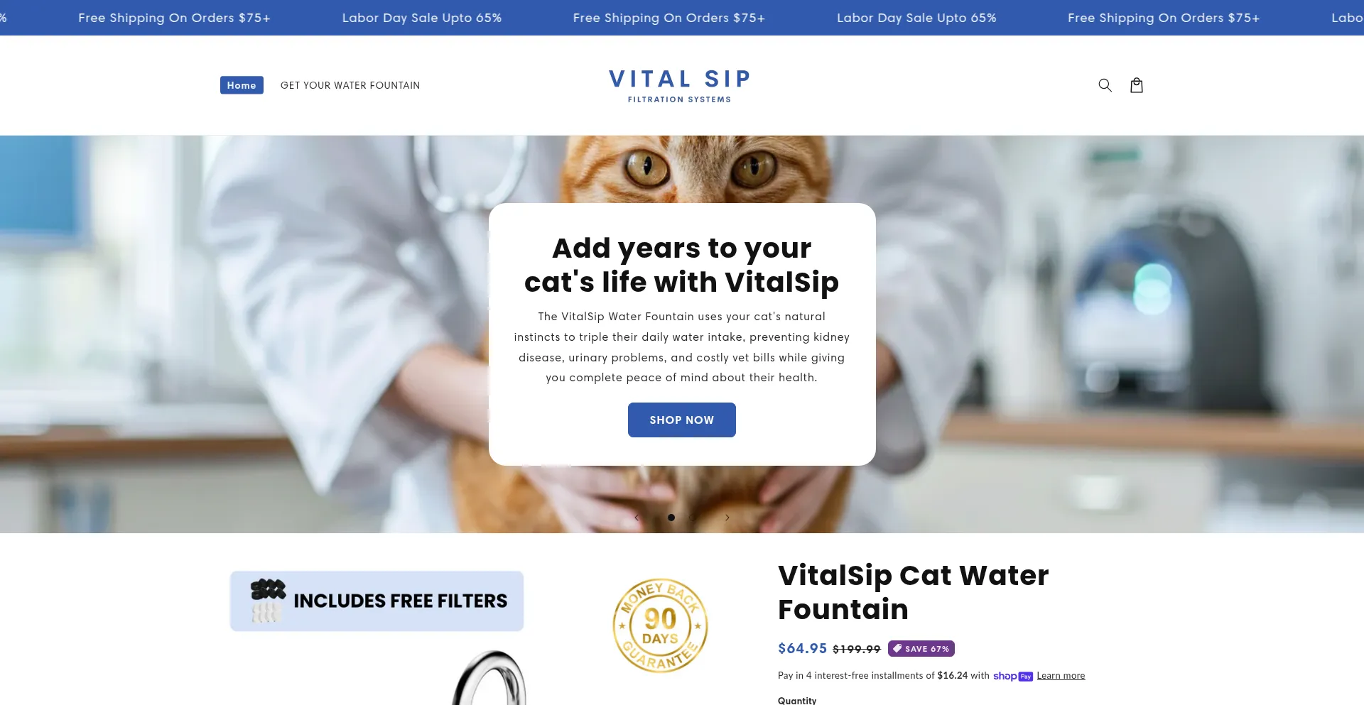 Website screenshot of Tryvitalsip.com