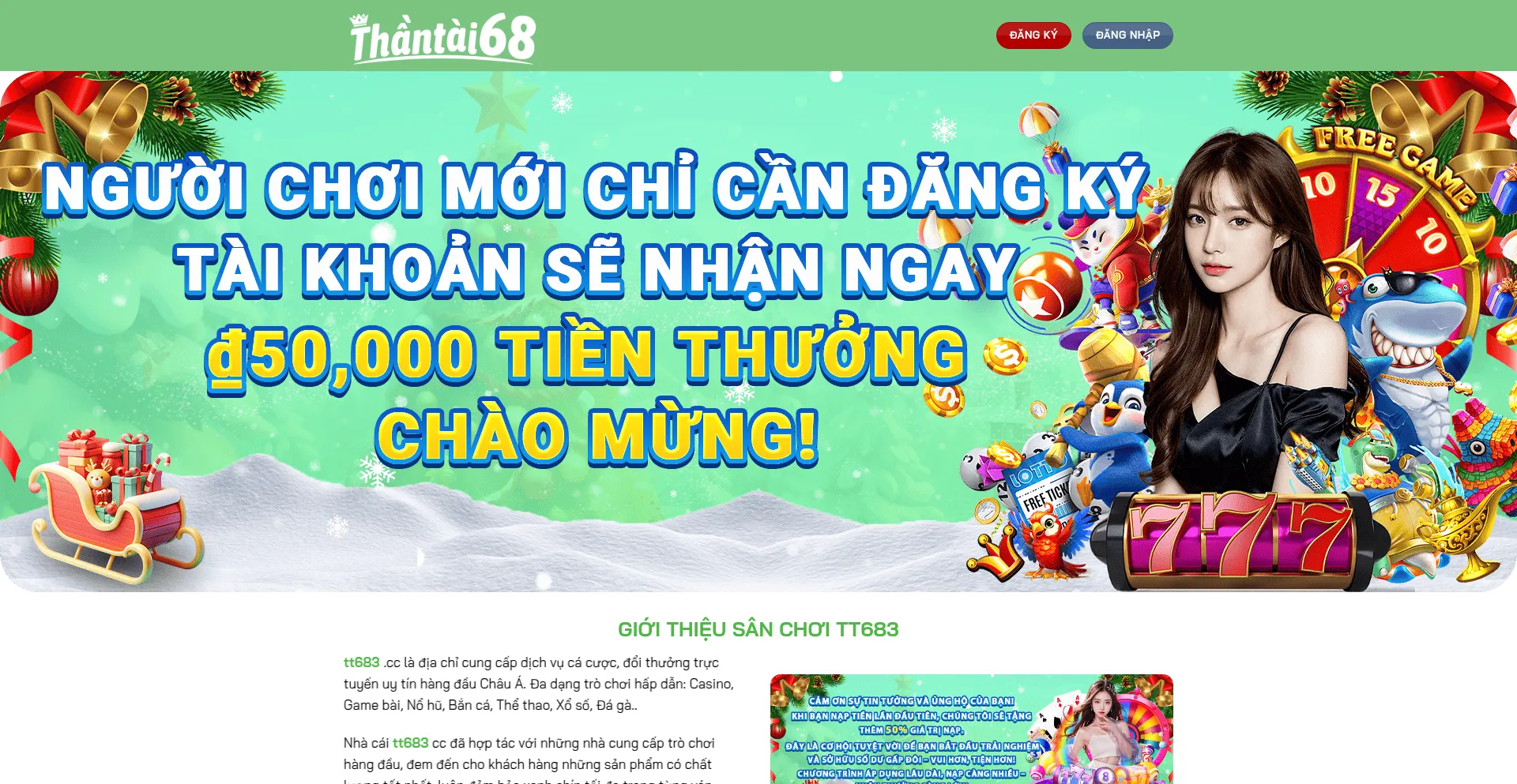Tt683.net
