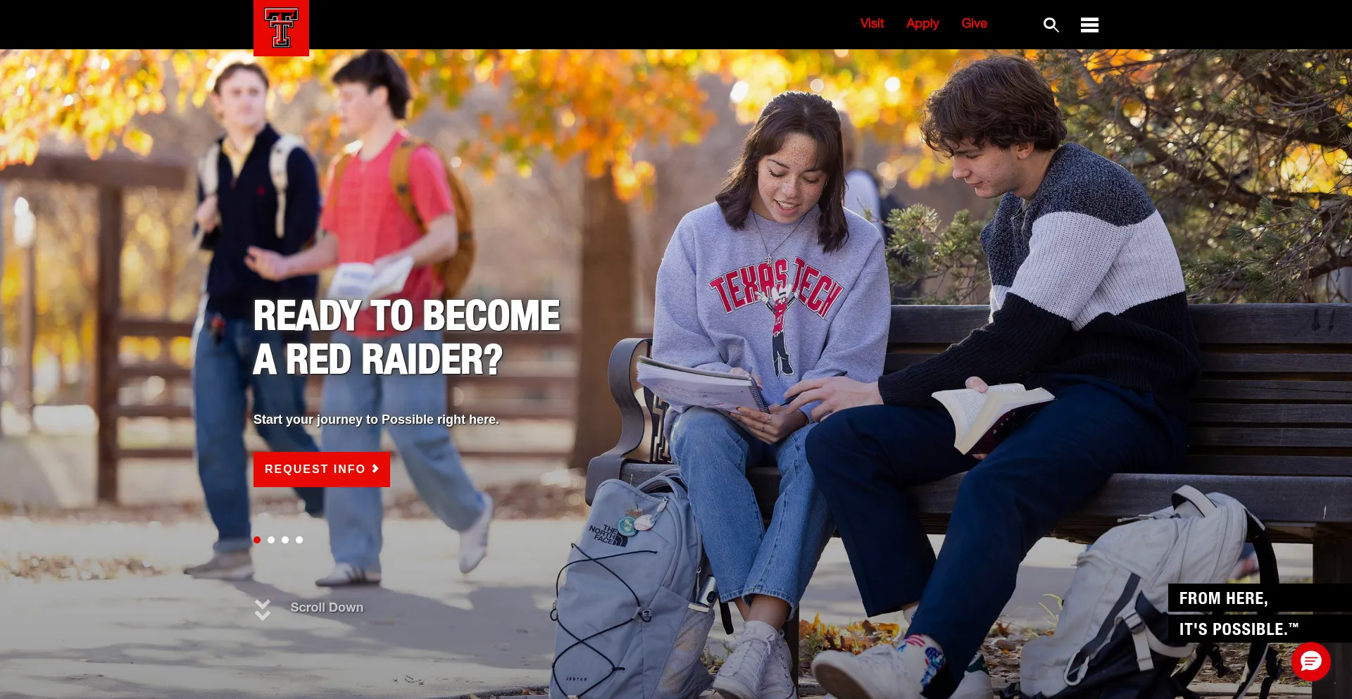 Website screenshot of Ttu.edu