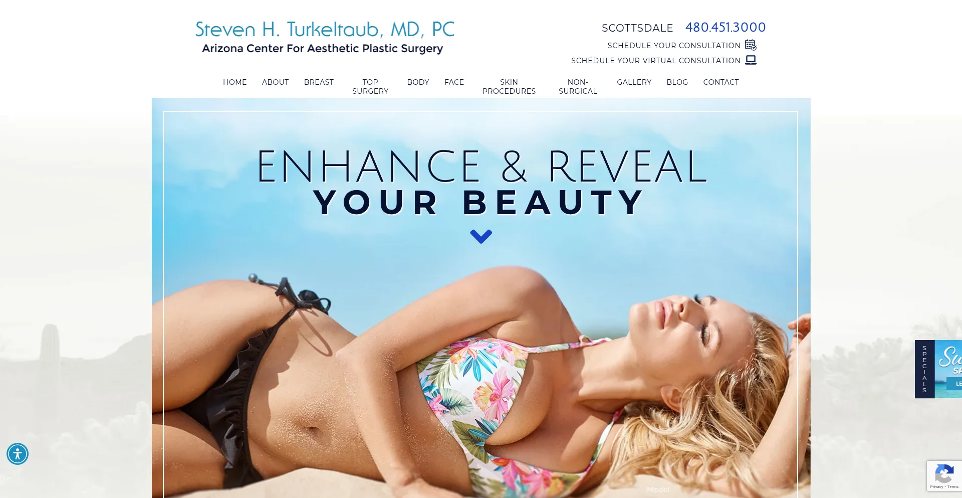 Website screenshot of Turkeltaub.com