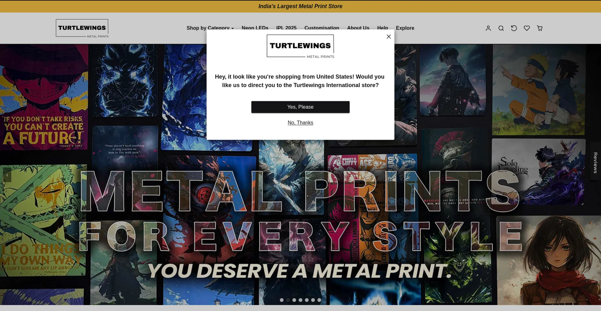Website screenshot of Turtlewings.co.in