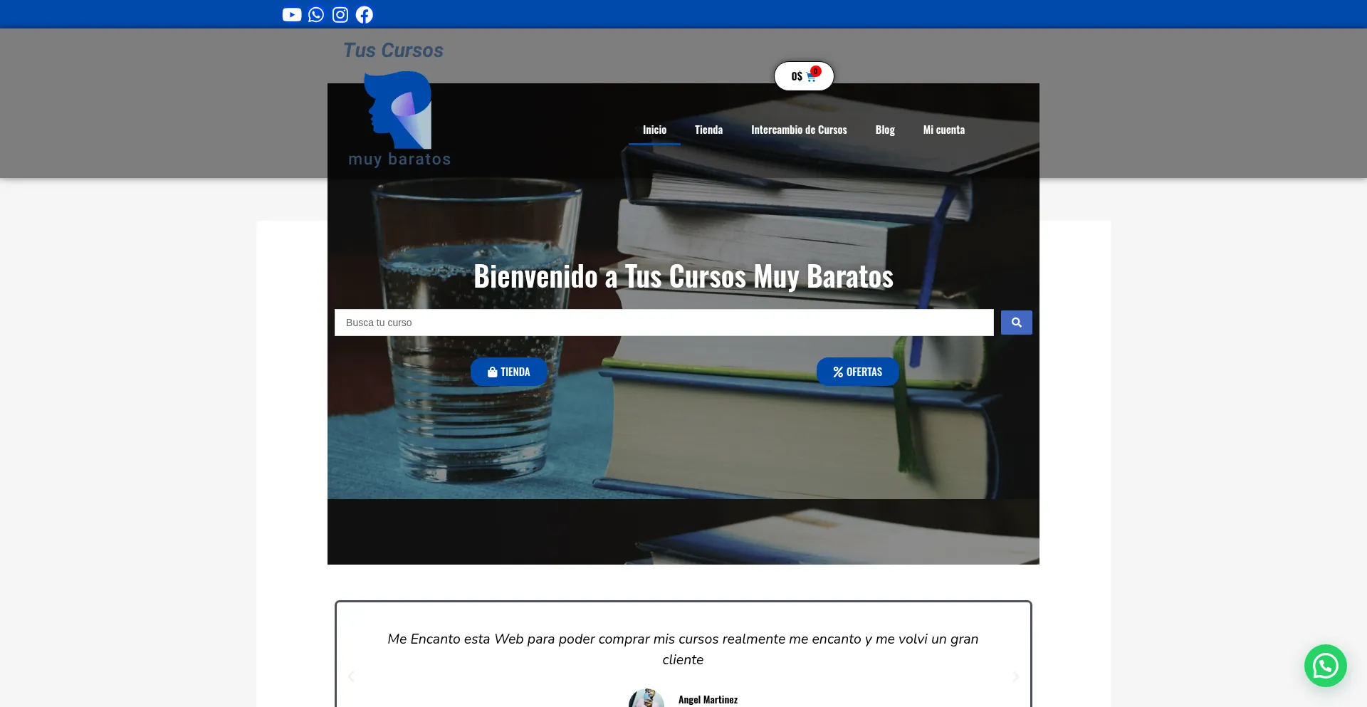 Tuscursosmuybaratos.com