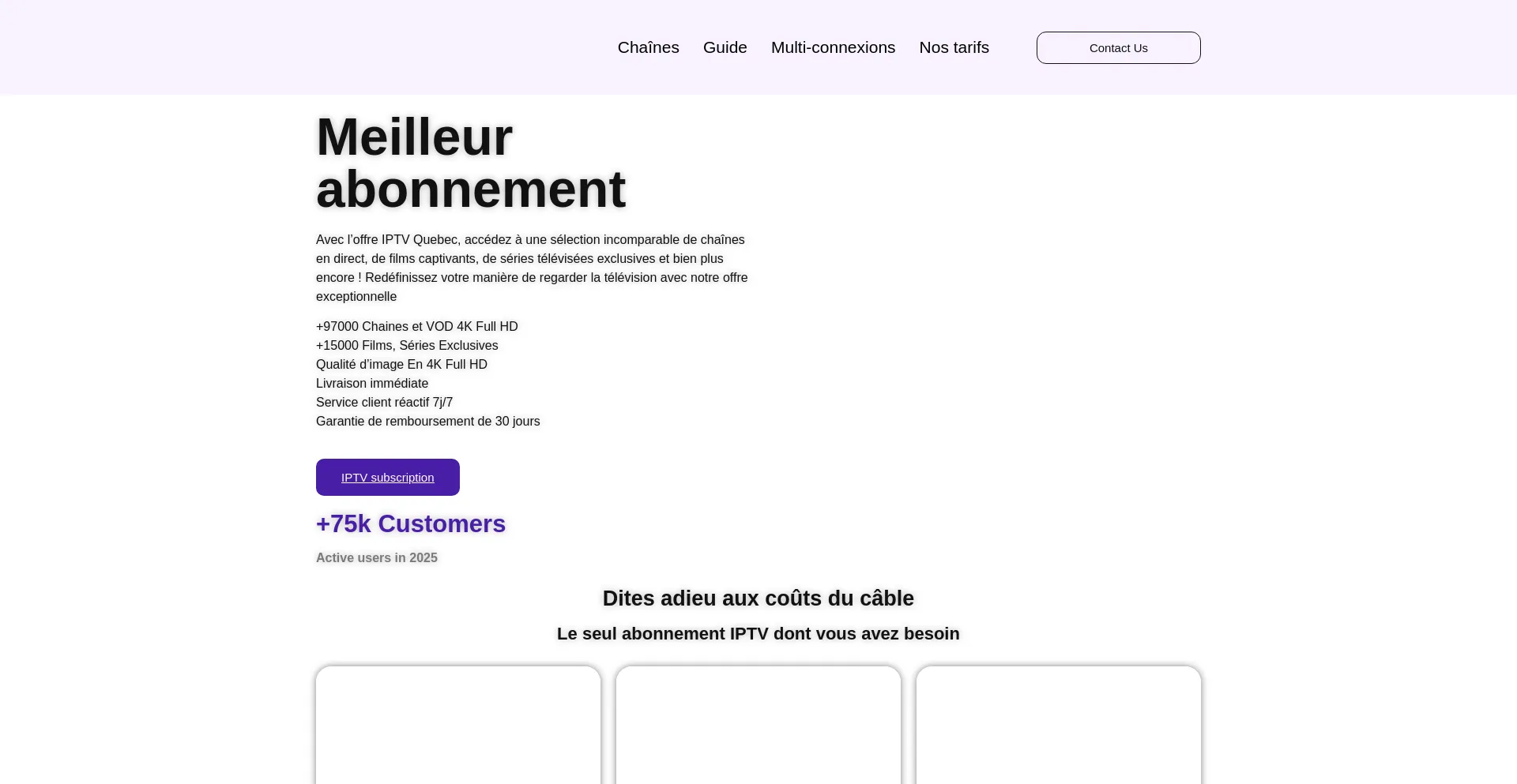 Website screenshot of Tviptv.ca