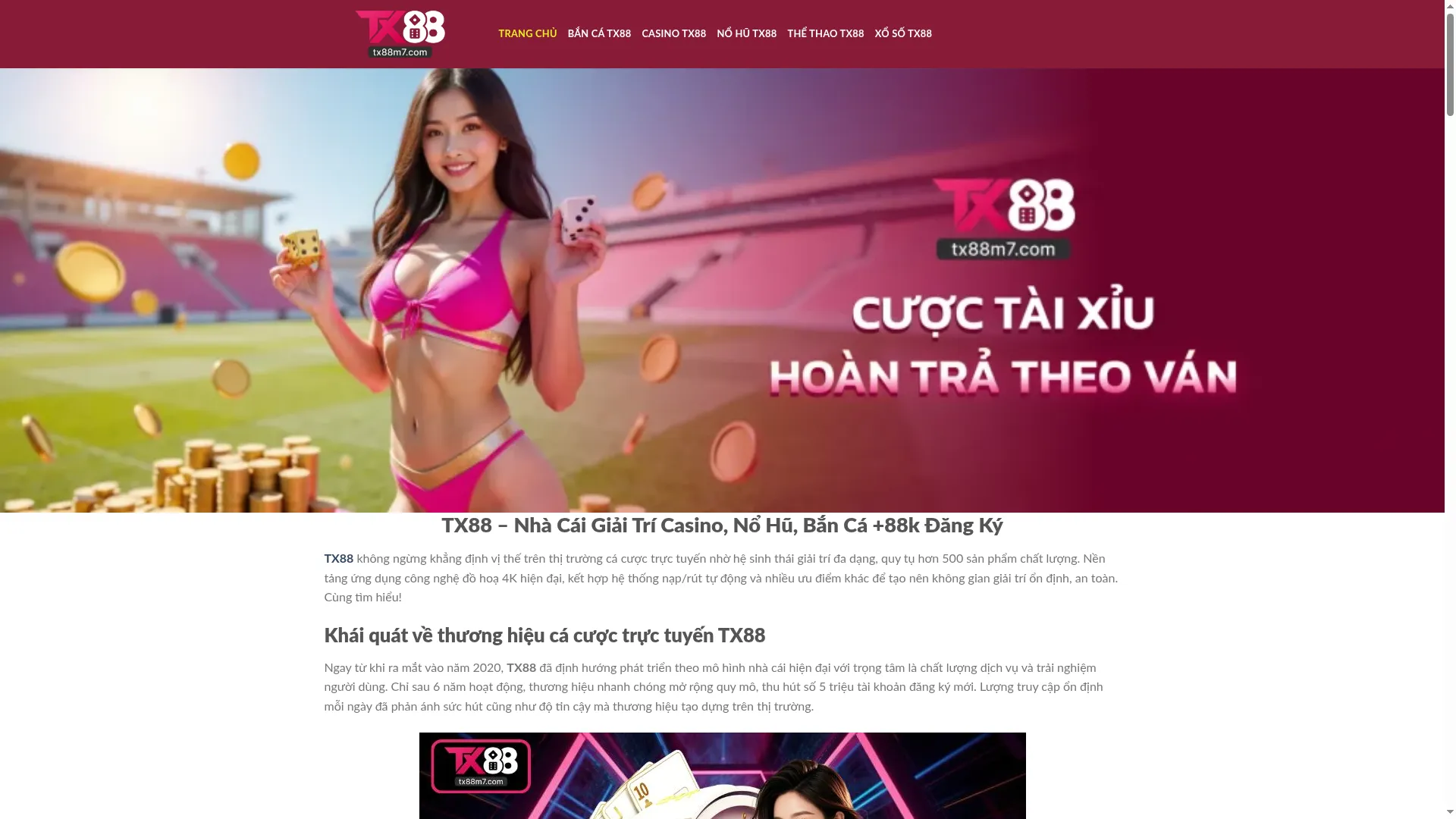 Tx88m7.com