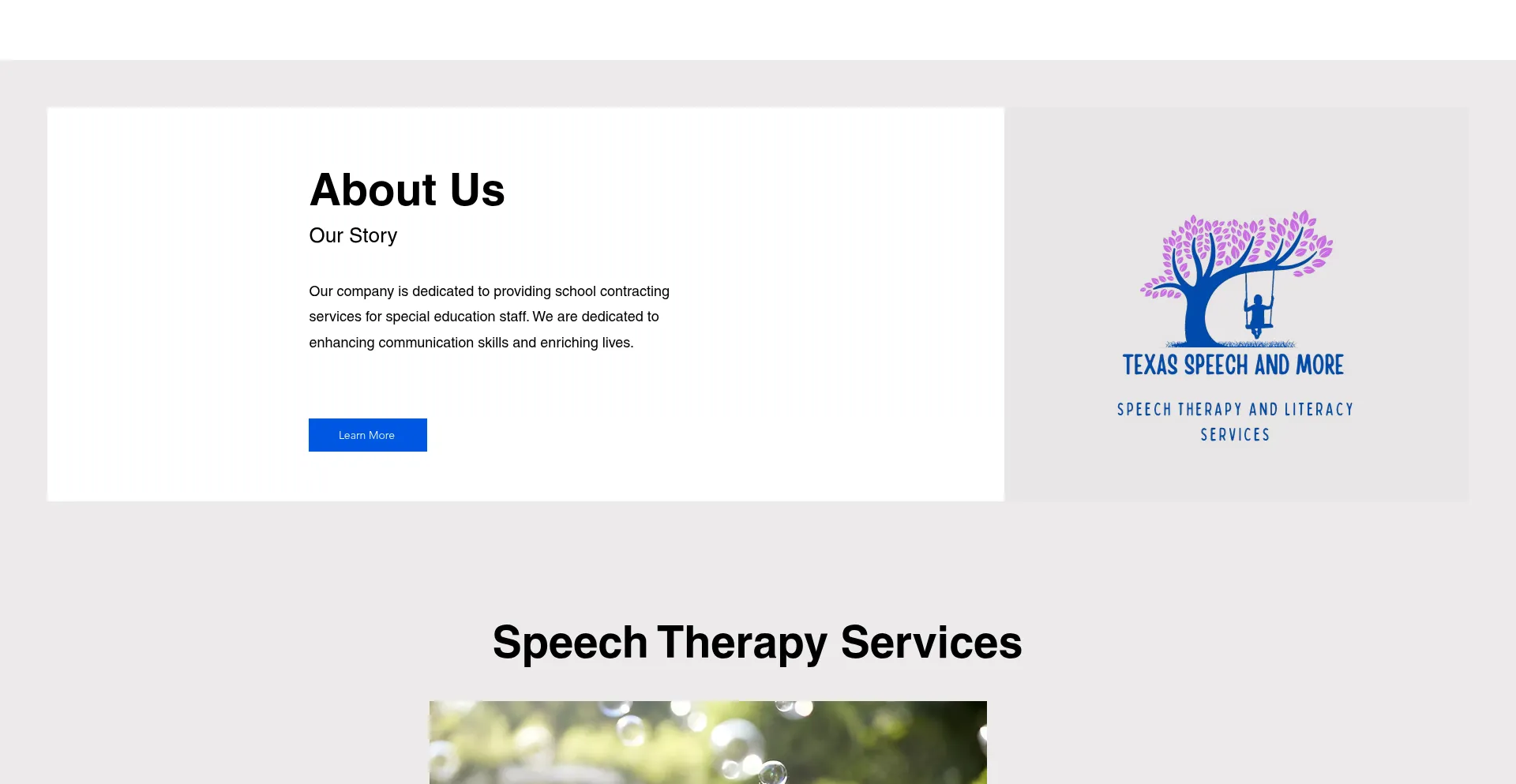 Txspeechandmore.com