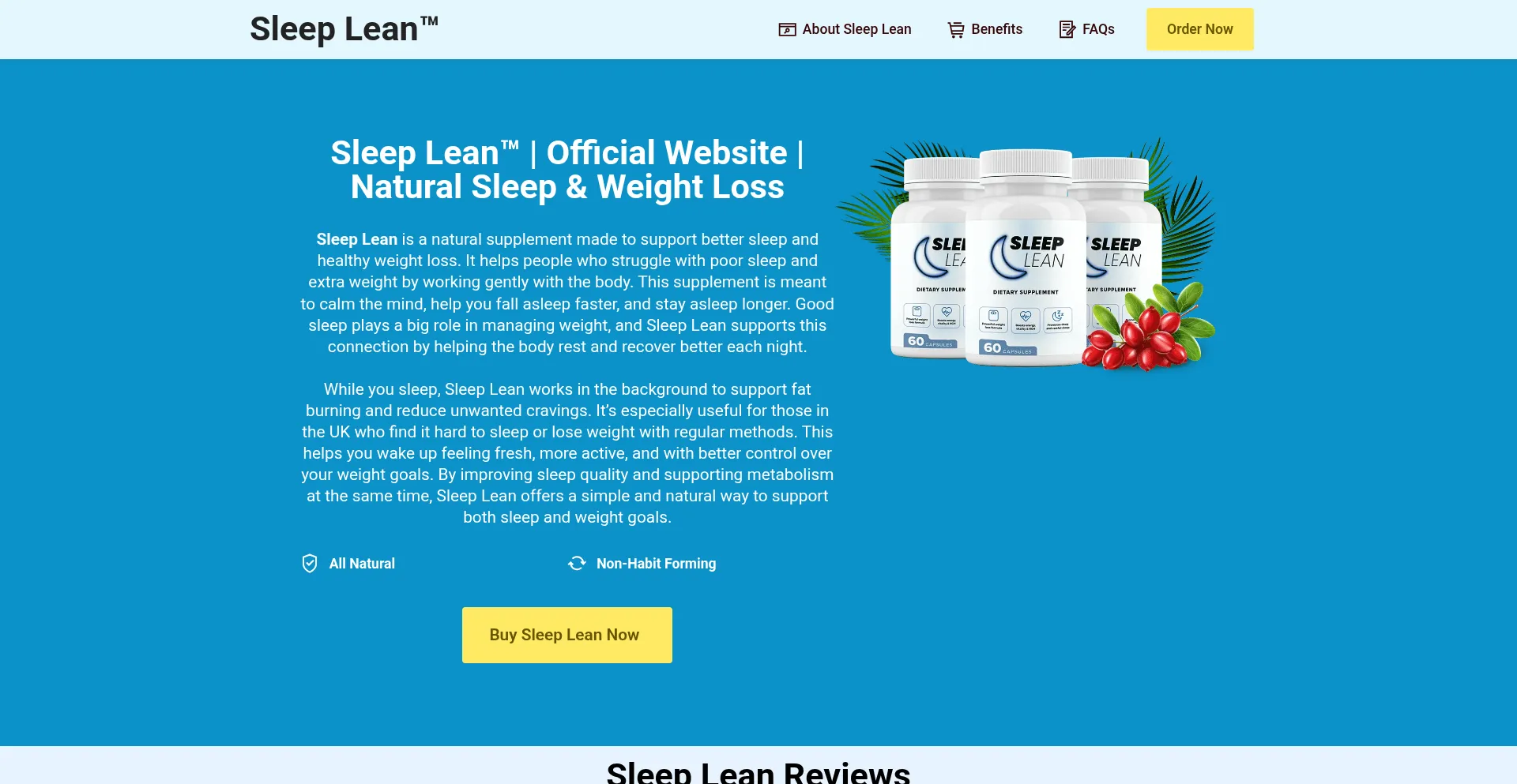 Website screenshot of Uk-sleeplean.co.uk