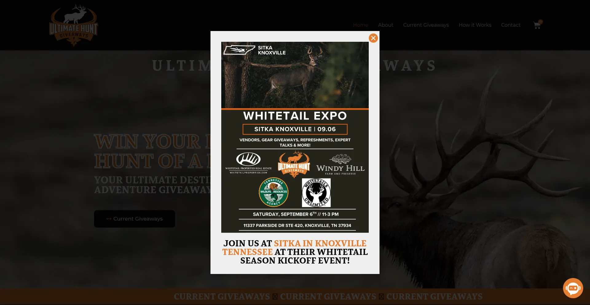 Website screenshot of Ultimatehuntgiveaways.com