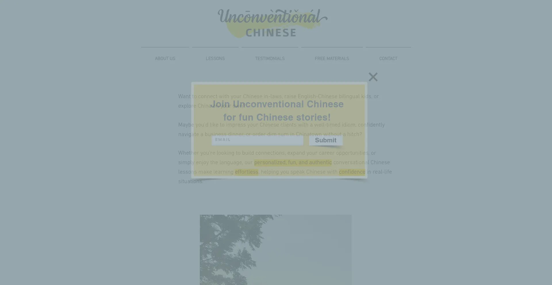 Website screenshot of Unconventionalchinese.com