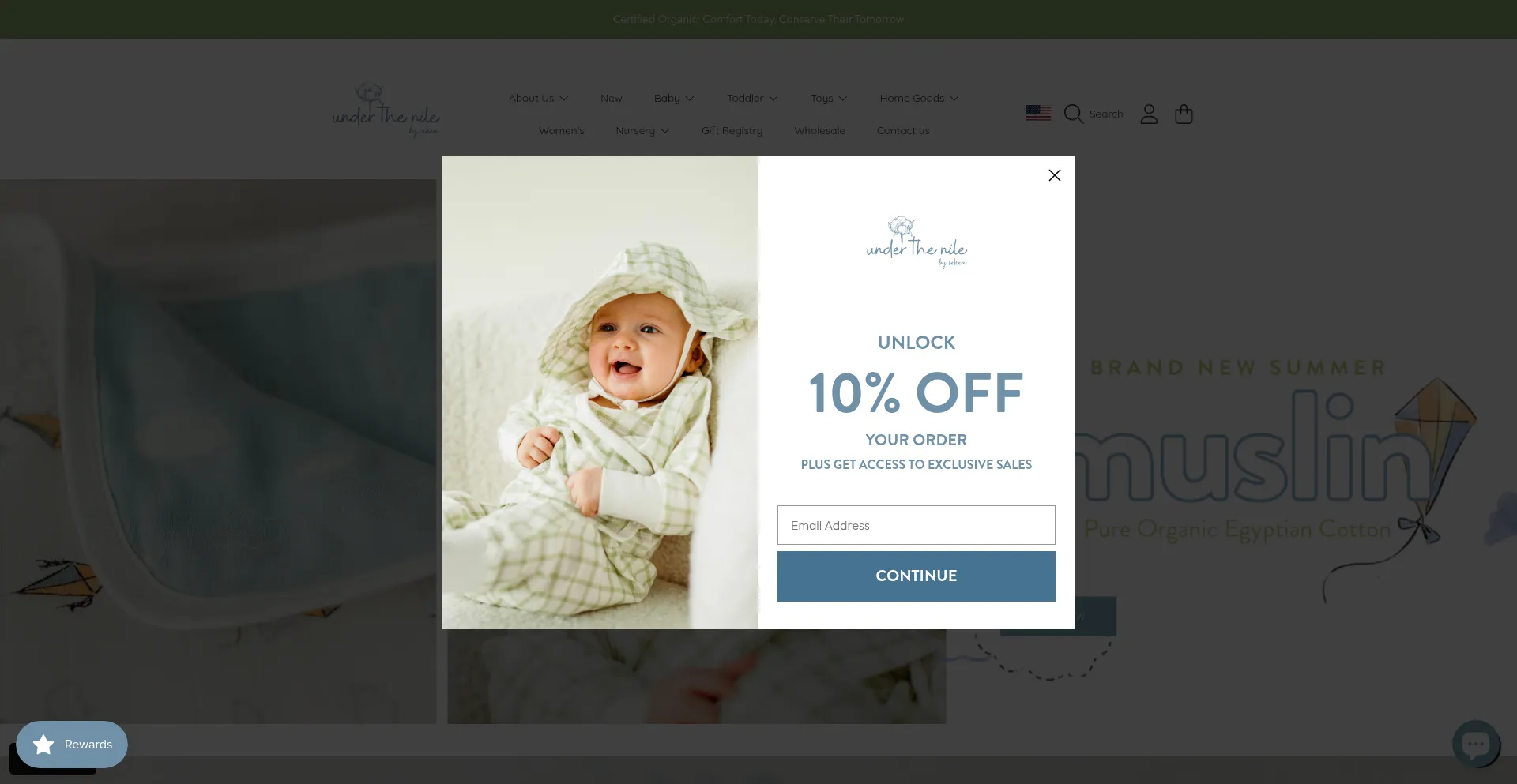 Website screenshot of Underthenile.com