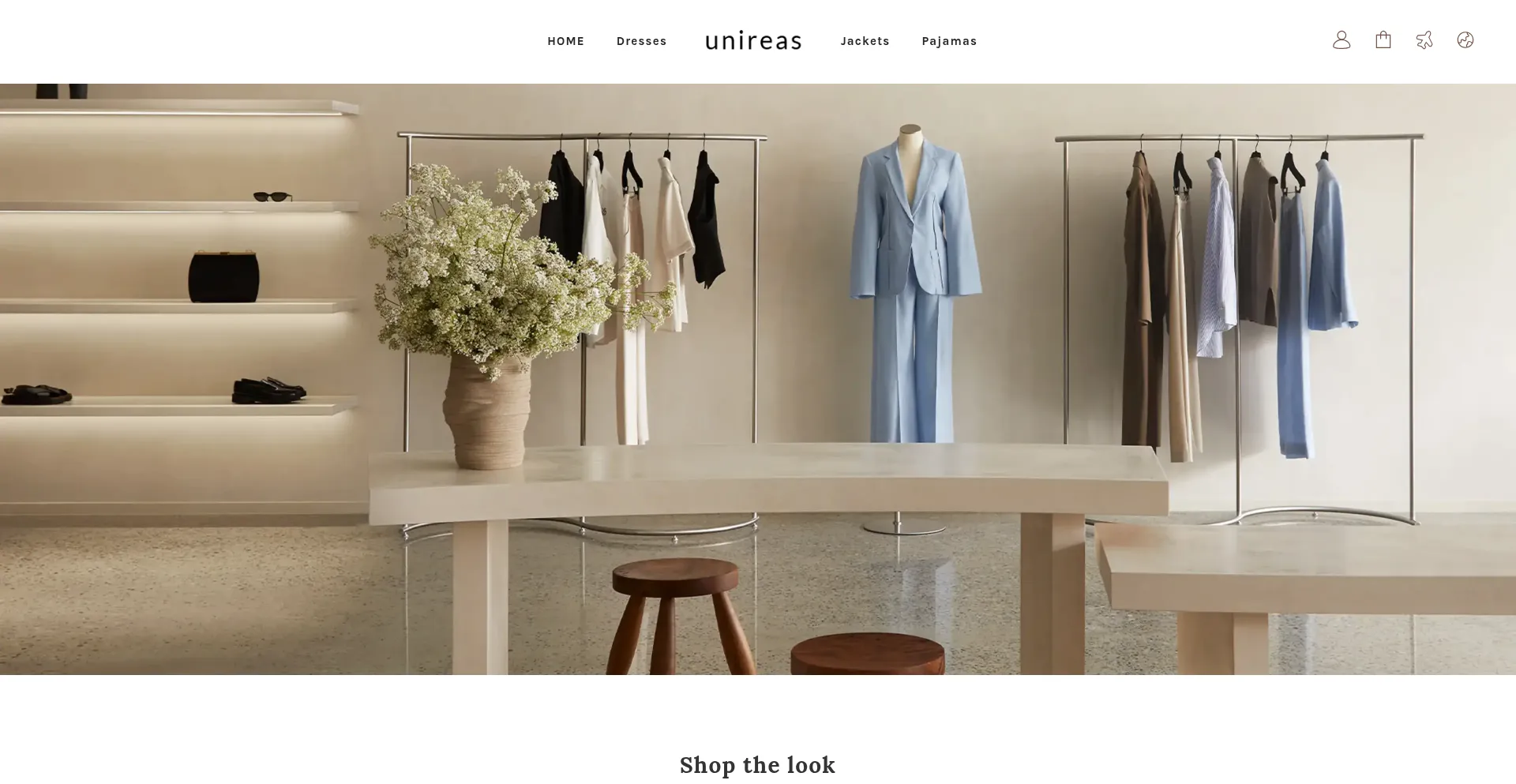 Website screenshot of Unireas.com