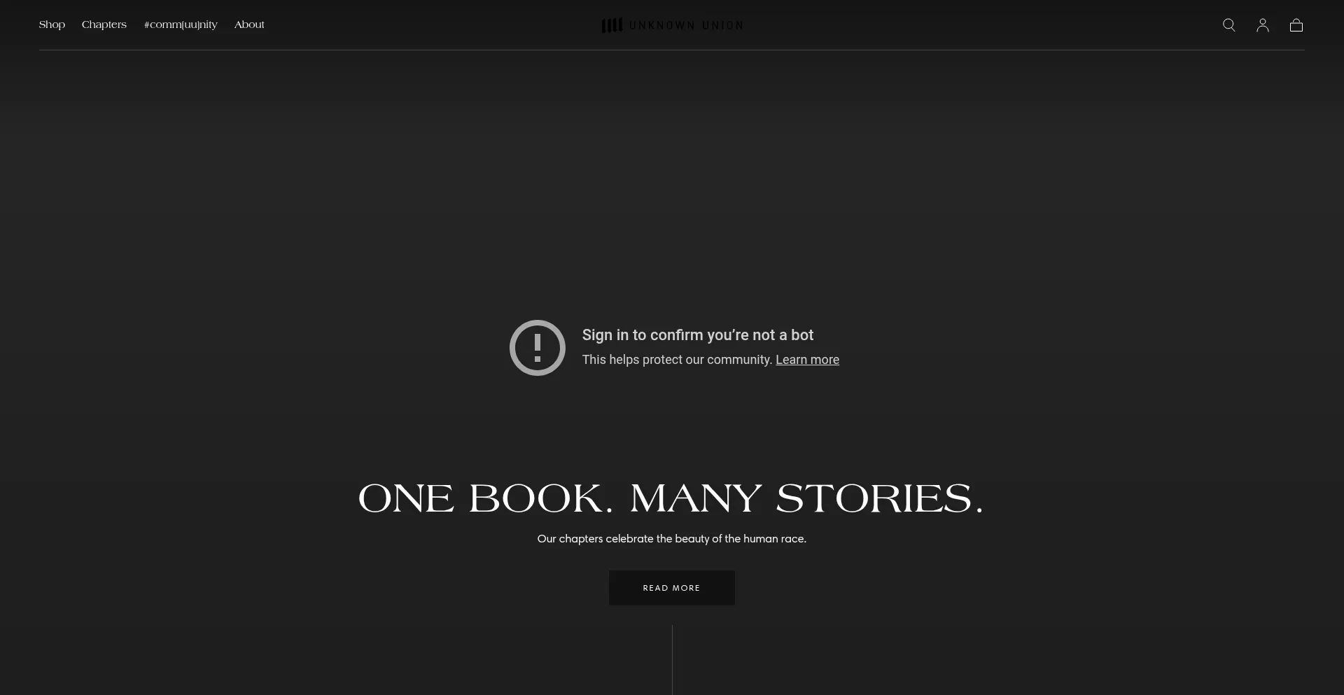 Website screenshot of Unknownunion.com