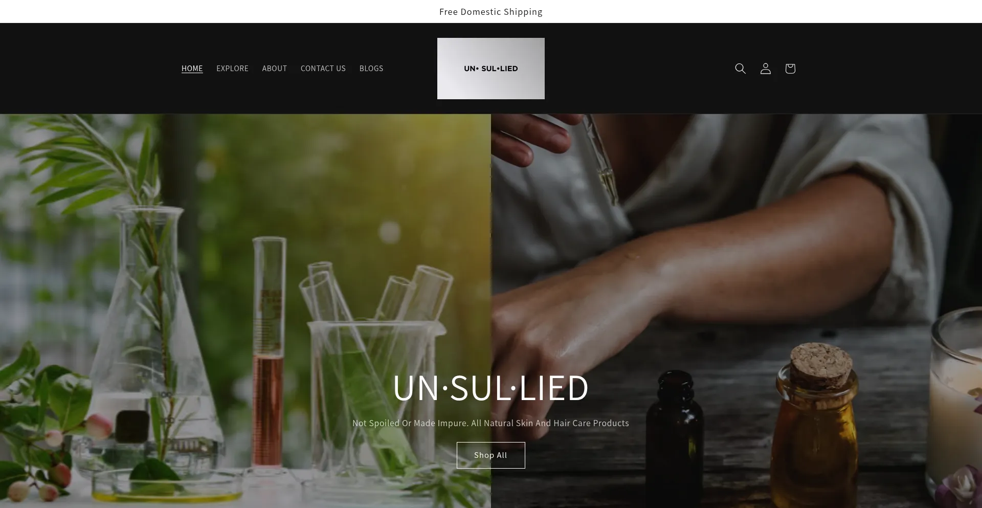 Unsulliedbody.com