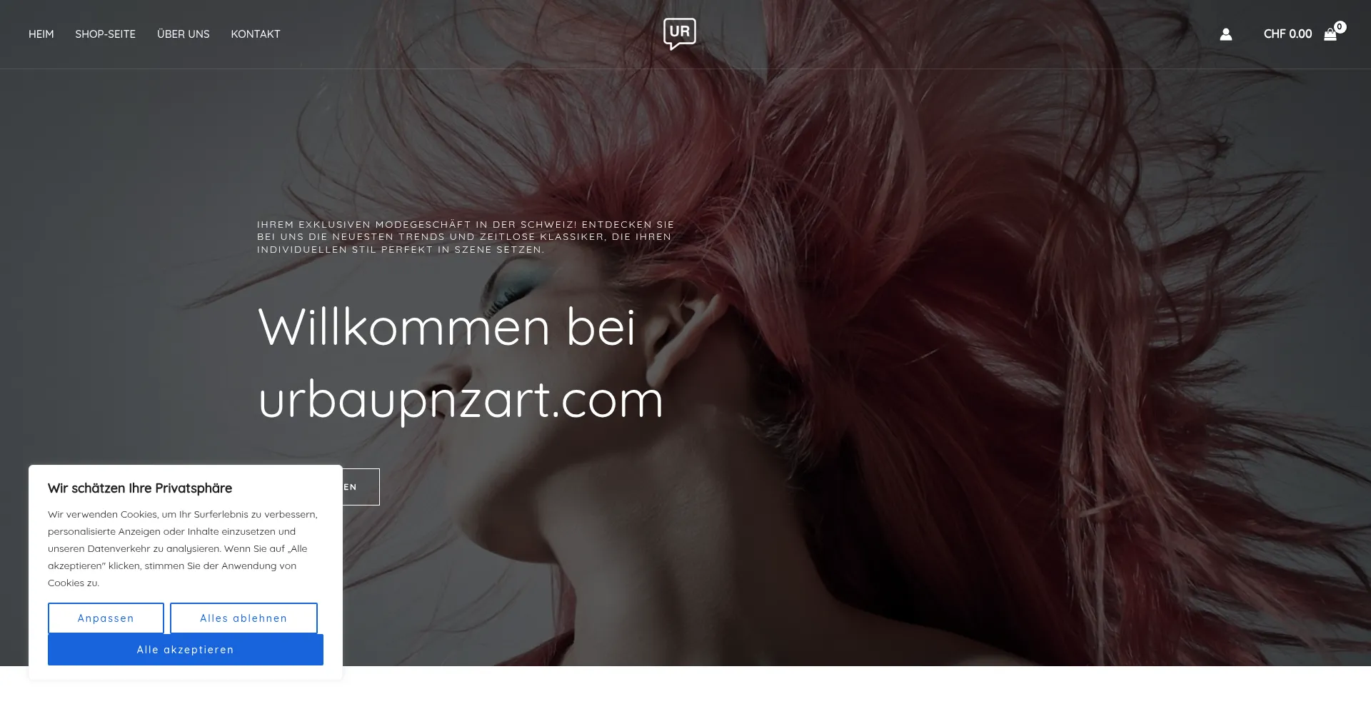 Website screenshot of Urbaupnzart.com