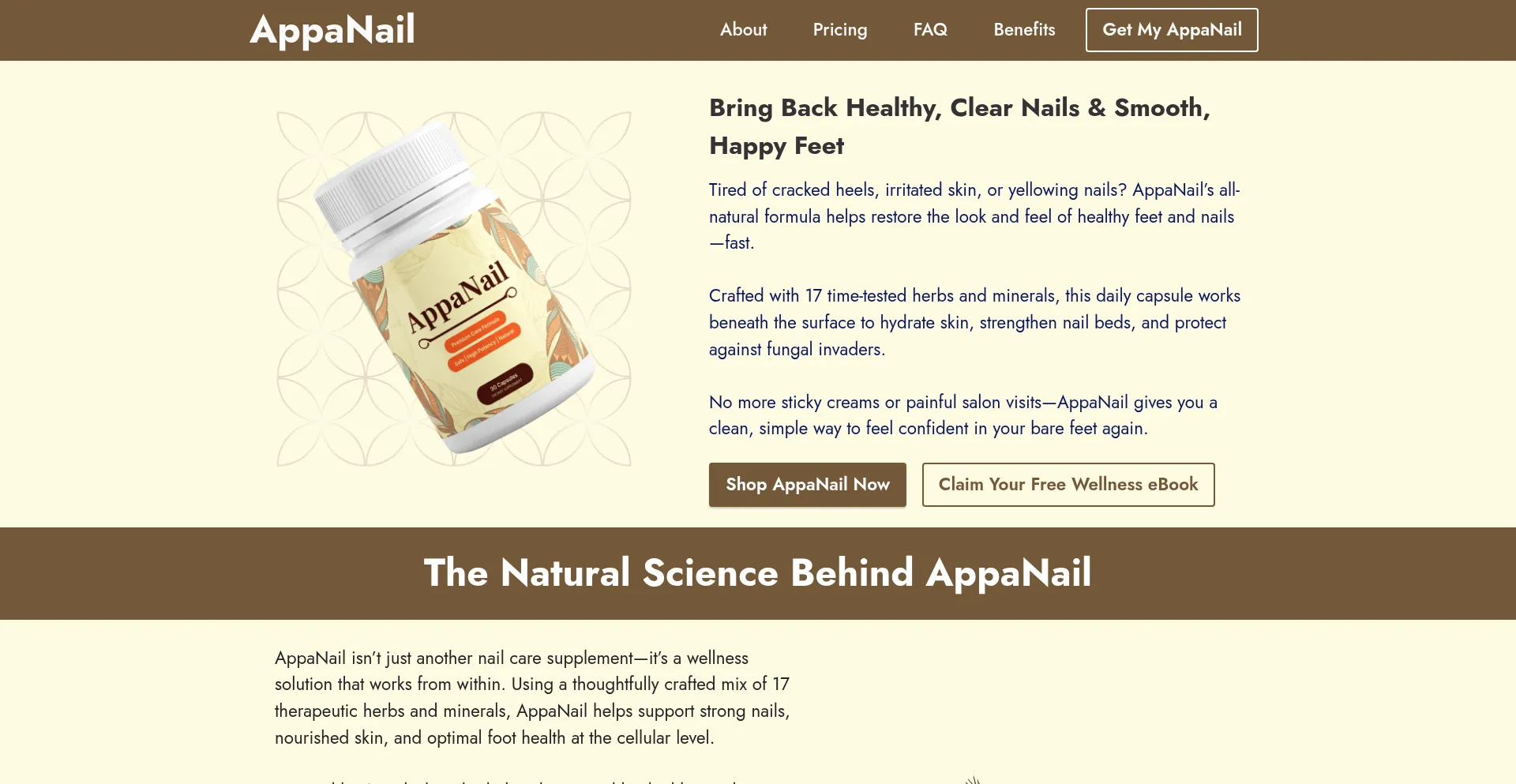 Us-appanailes.com