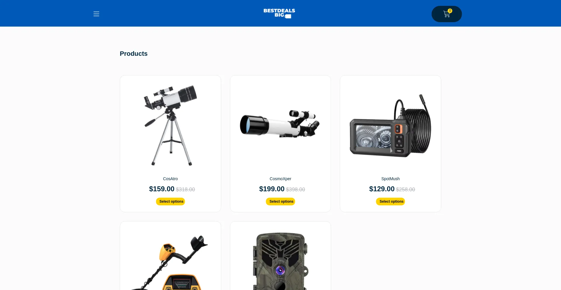 Website screenshot of Us-checkout.bestdealsbig.com