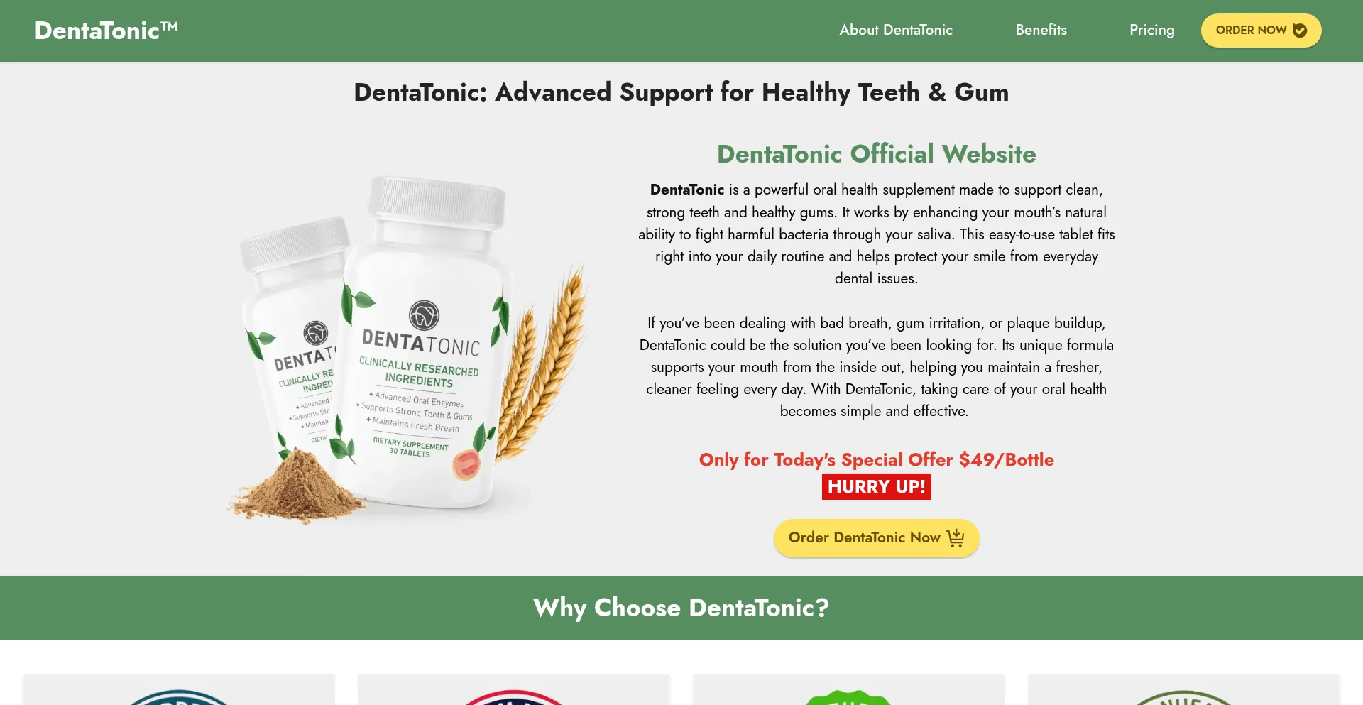 Us-dentatonic.us