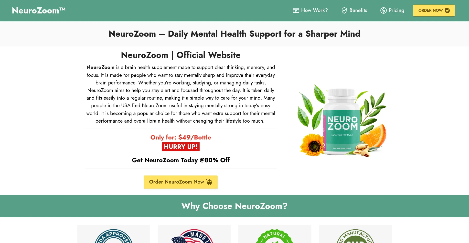 Website screenshot of Us-neurozoom.us