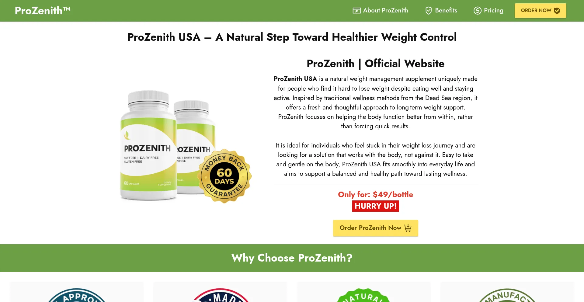 Website screenshot of Us-prozenith-us.us