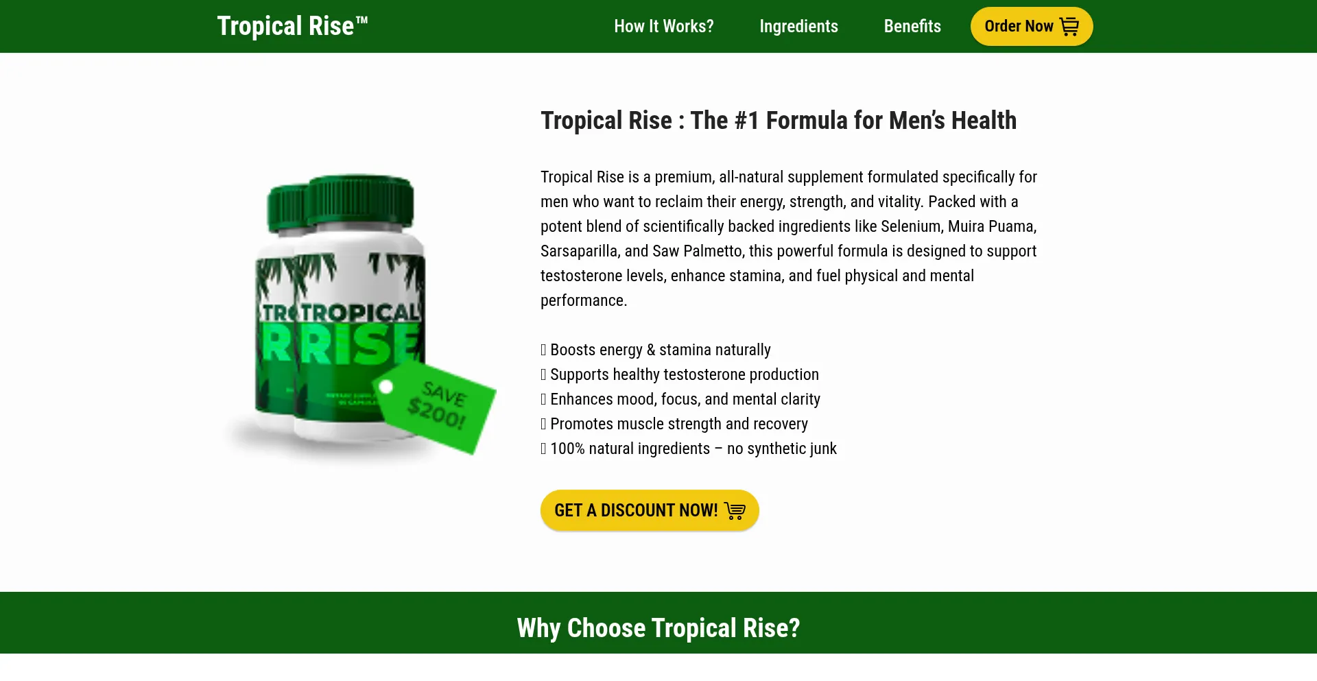 Website screenshot of Us-tropicalrise.com