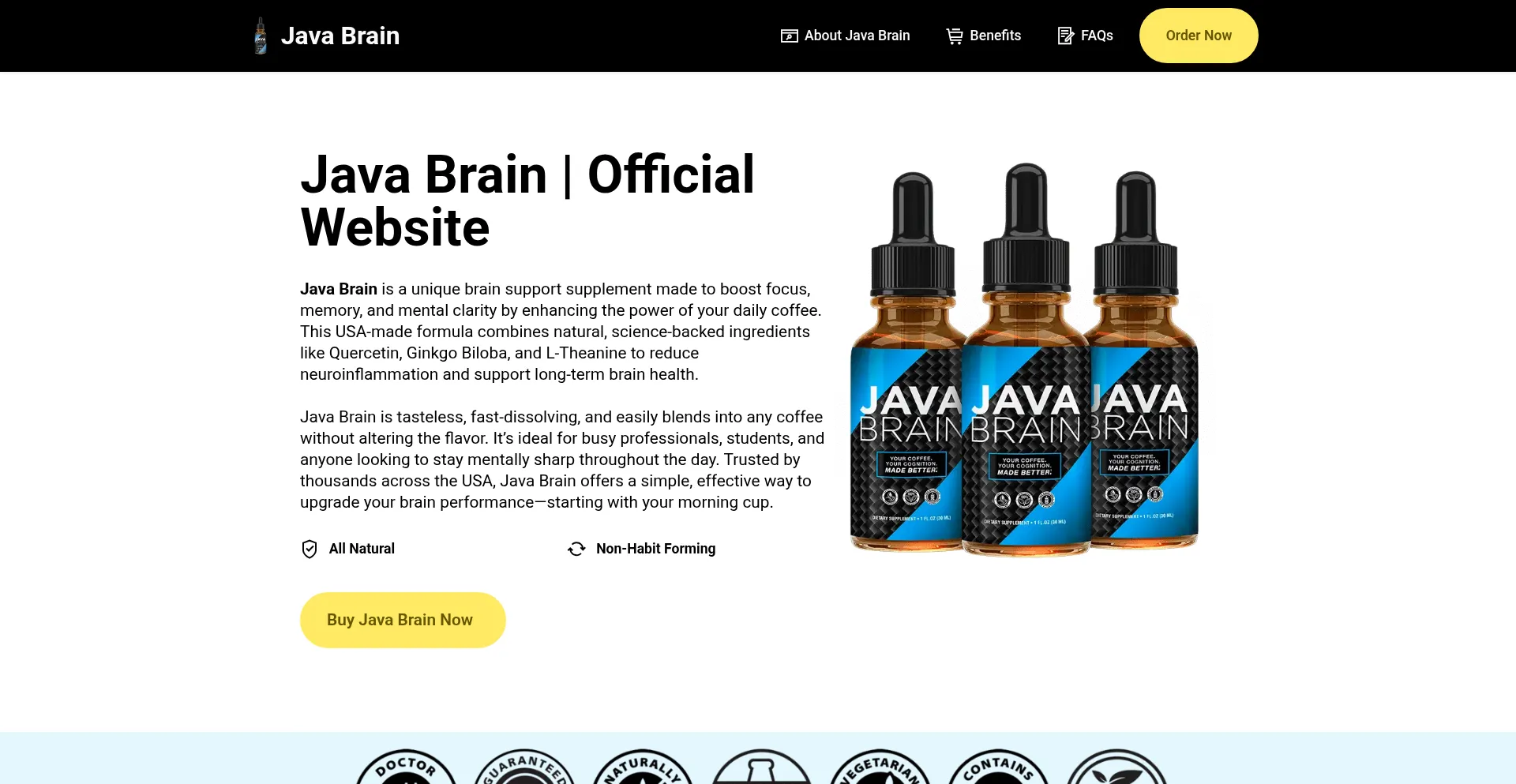 Us-us--java-brain.com