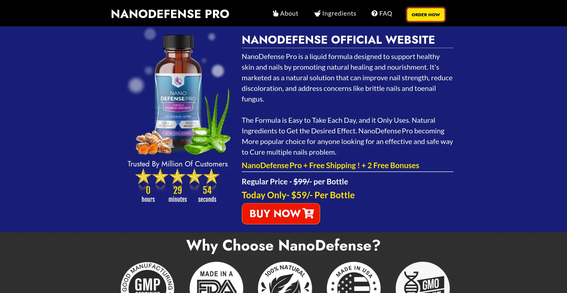 Website screenshot of Us-usa-en-nanodefensepro.com
