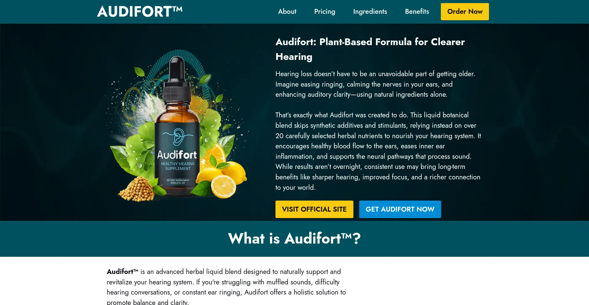 Website screenshot of Usa-audiffort.com