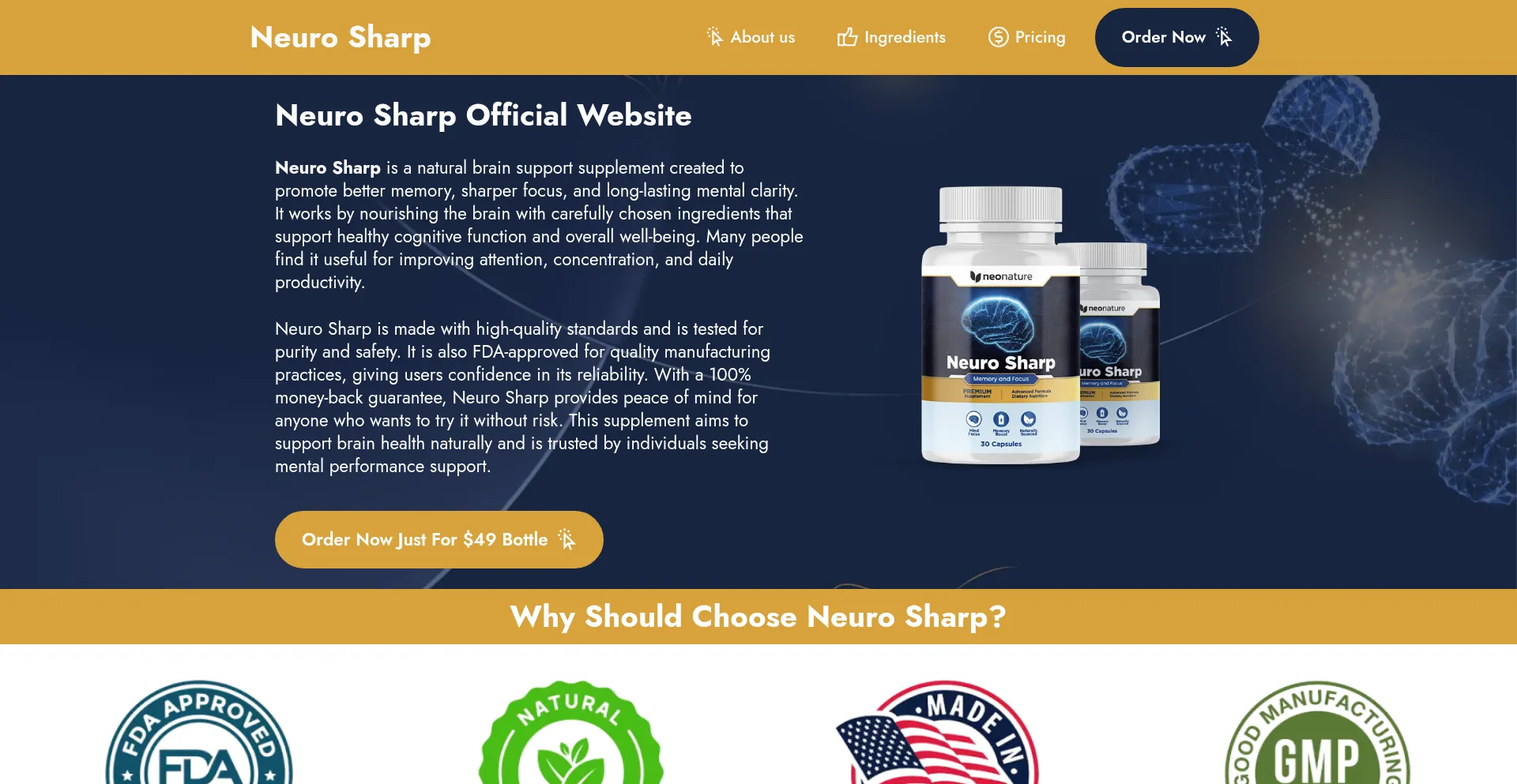 Website screenshot of Usa-neurosharp.us