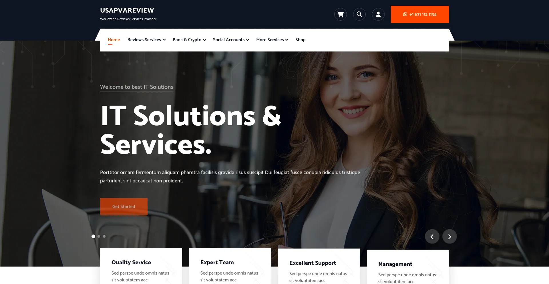 Website screenshot of Usapvareview.com