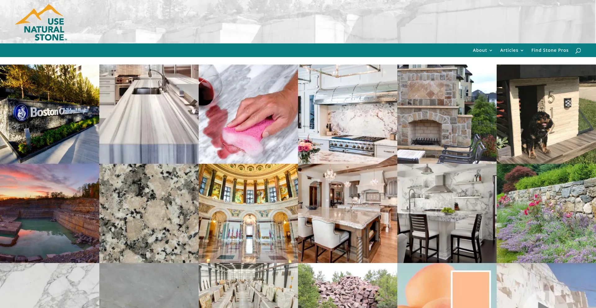 Website screenshot of Usenaturalstone.org