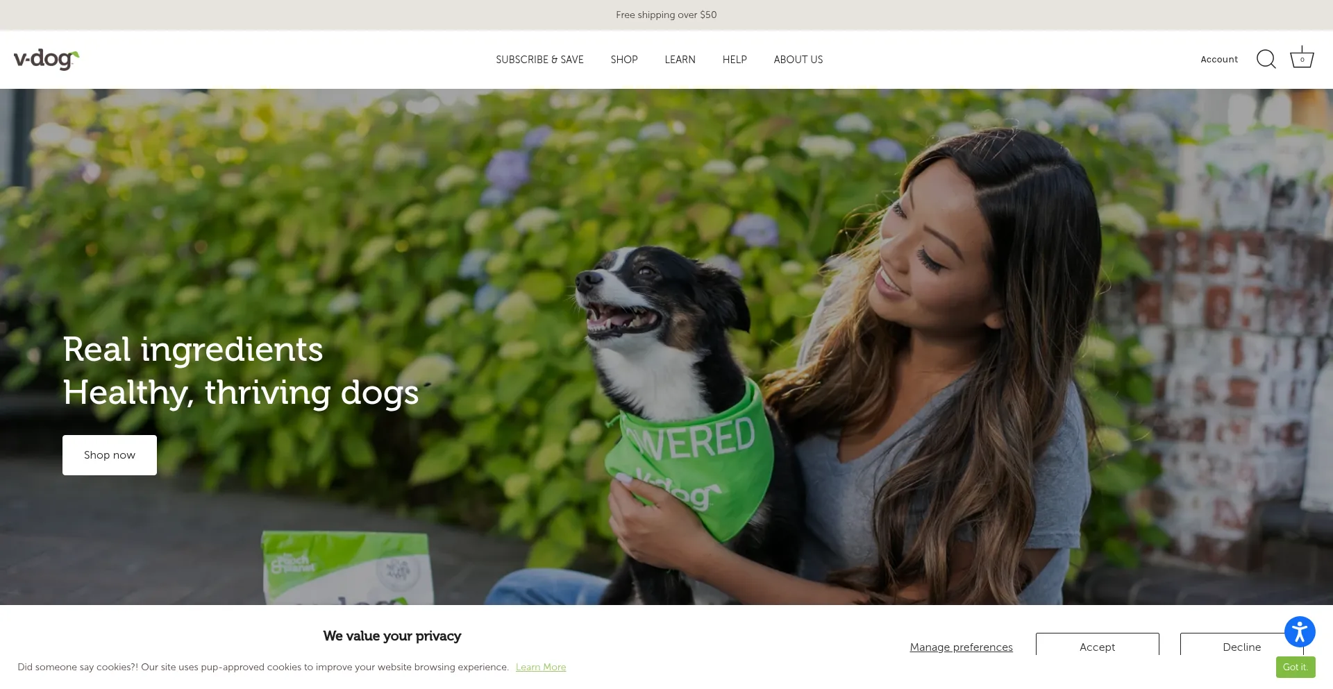 V-dog.com