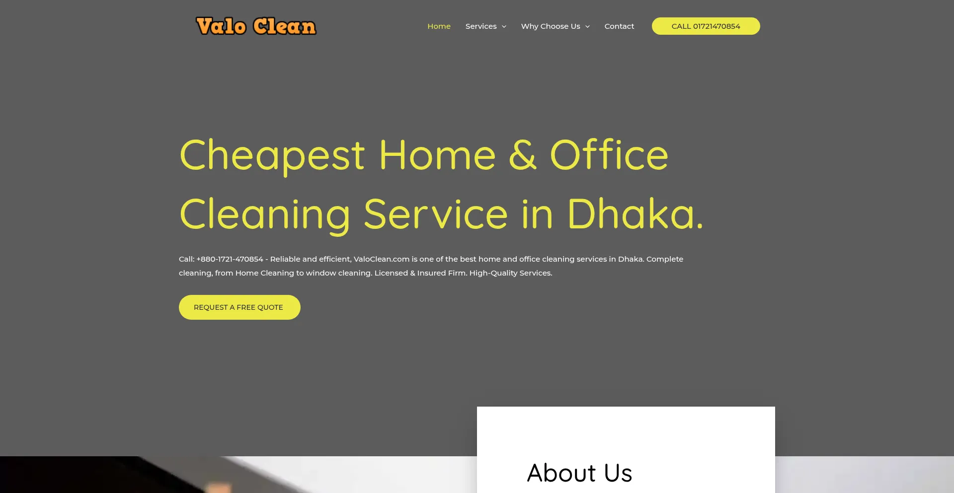 Website screenshot of Valoclean.com