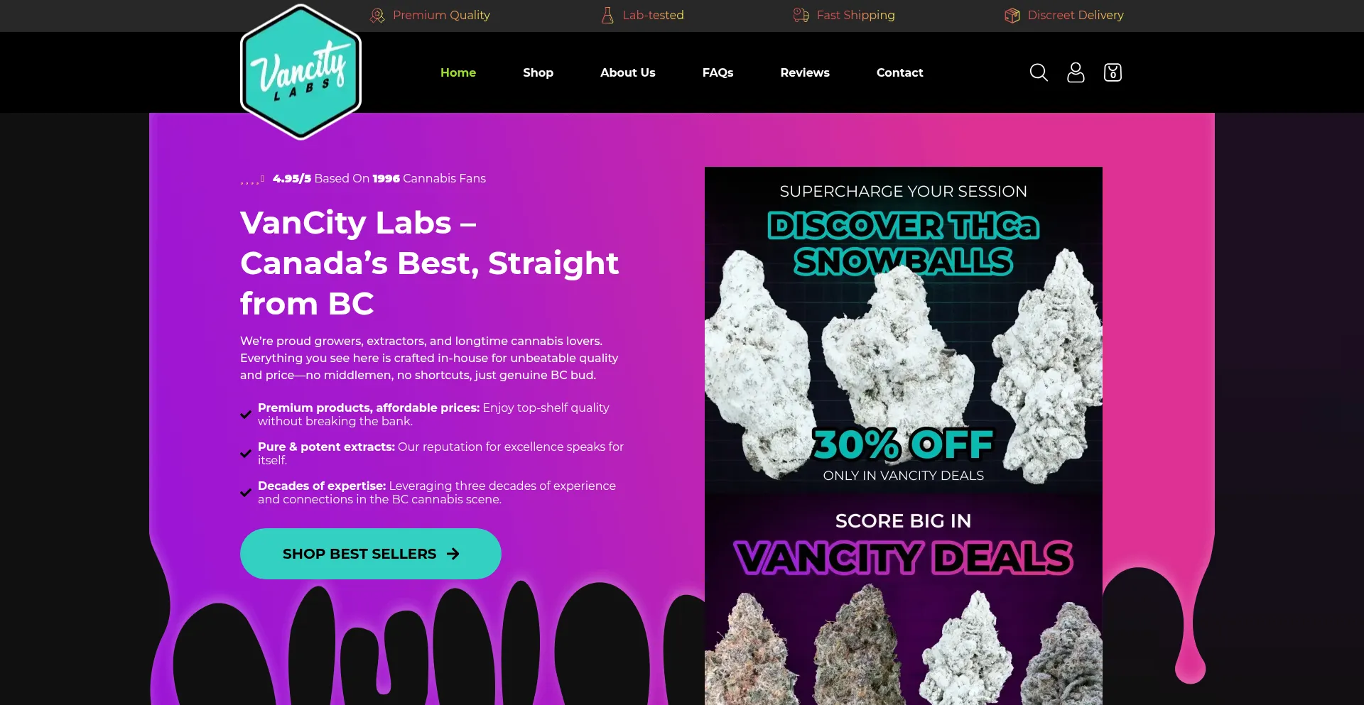 Website screenshot of Vancitylabs.co