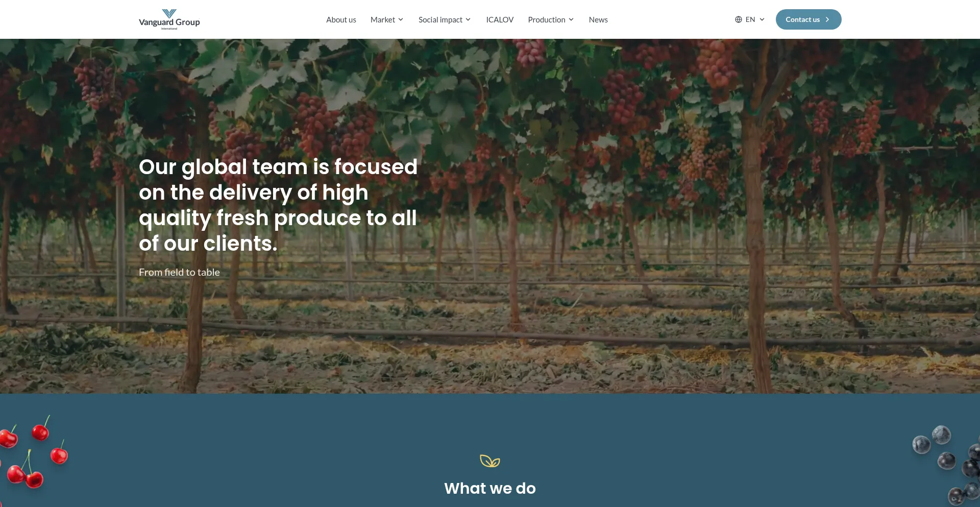 Vanguardteam.com