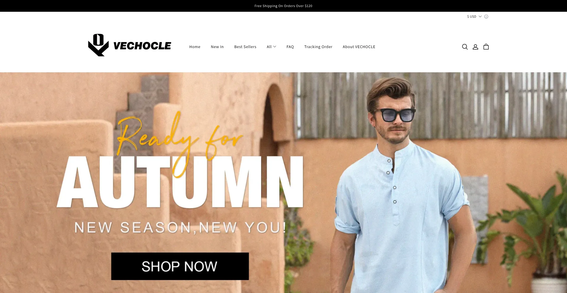 Website screenshot of Vechocle.com