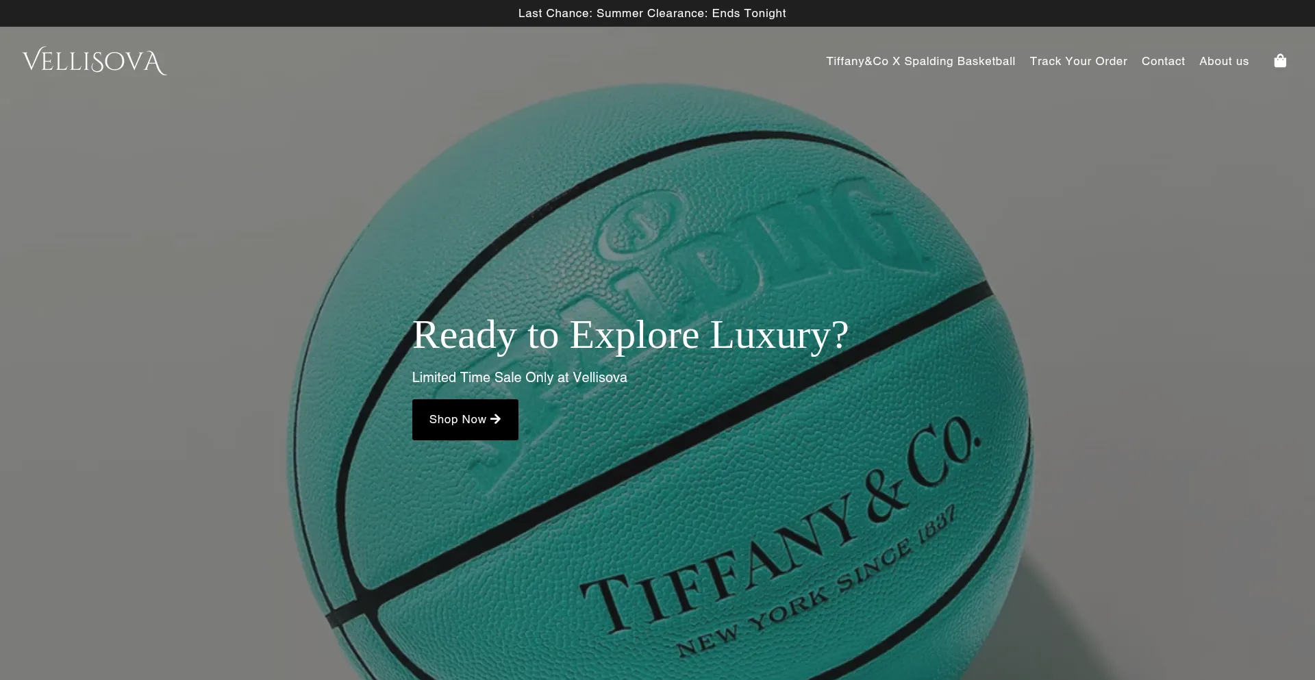 Website screenshot of Vellisaire.com