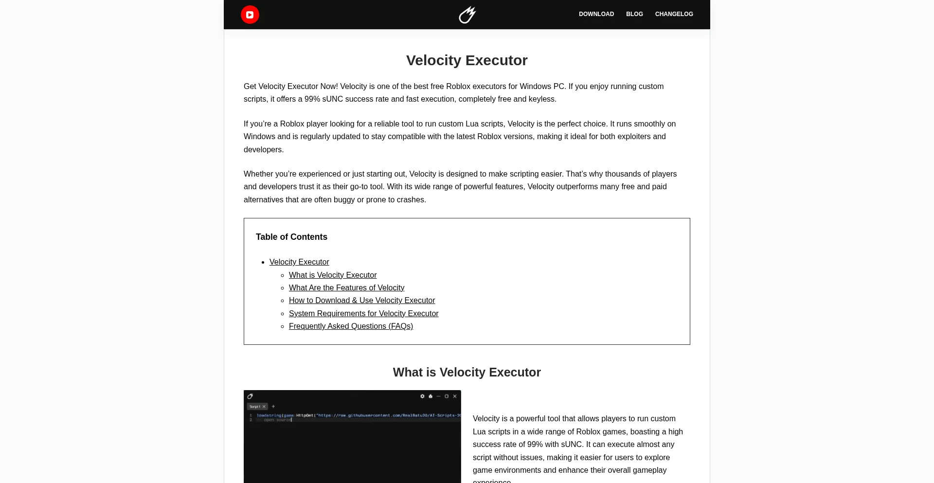 Website screenshot of Velocity-executor.com