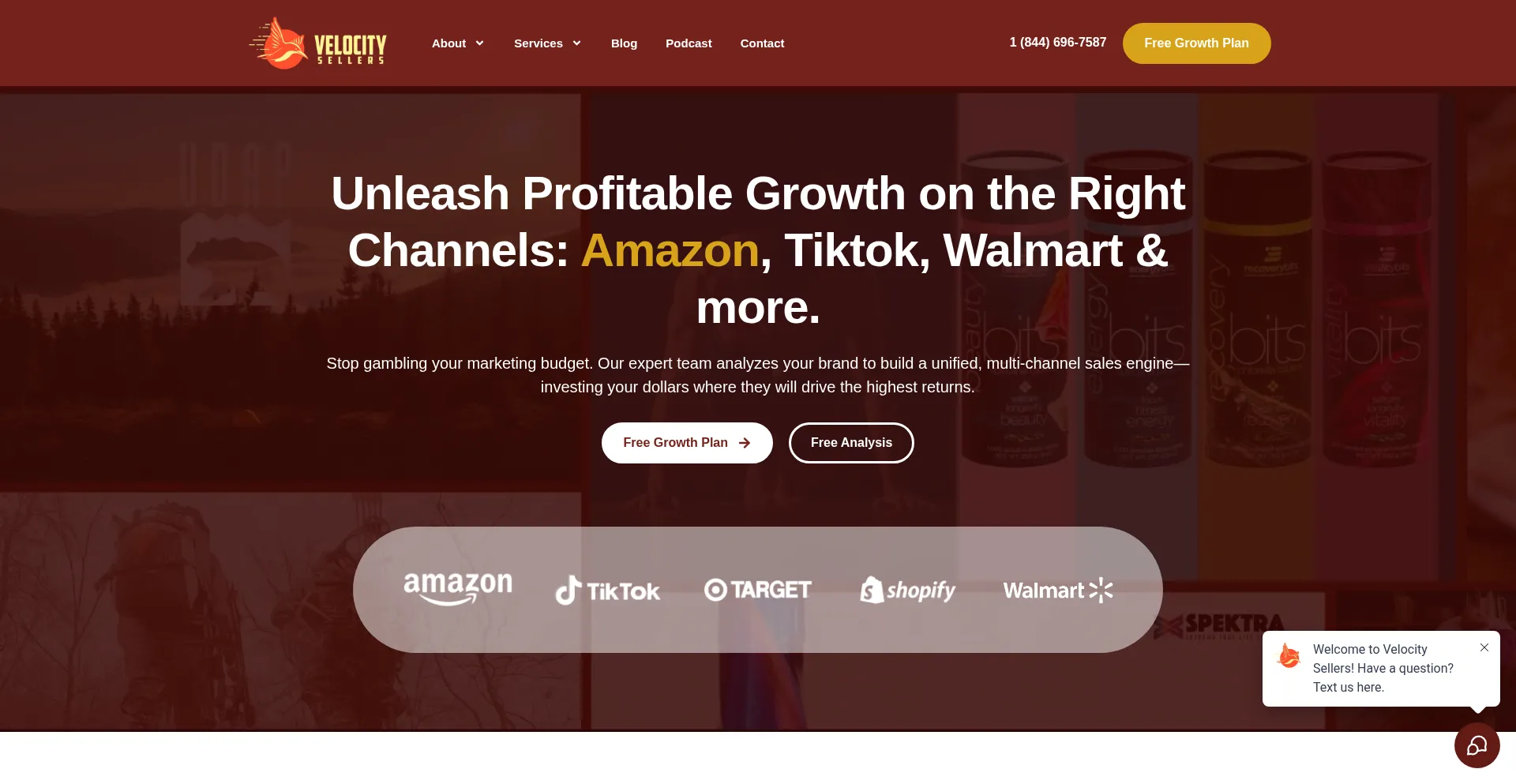 Website screenshot of Velocitysellers.com